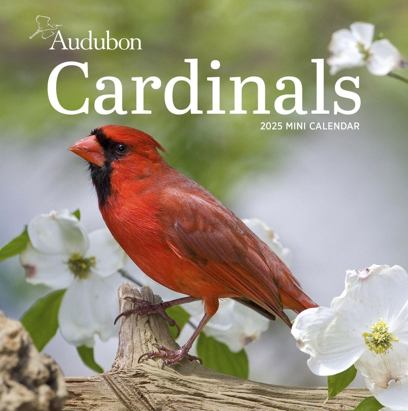 Audubon Cardinals Mini Wall Calendar 2025 in Audubon Cardinals 2025 Calendar Printable