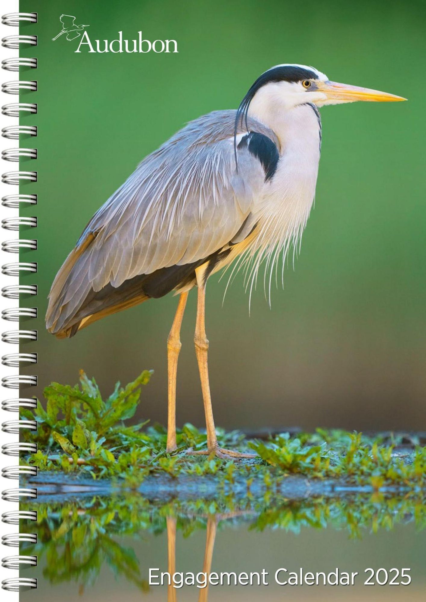 Audubon Engagement Calendar 2025 pertaining to Audubon Nature 2025 Calendar Printable