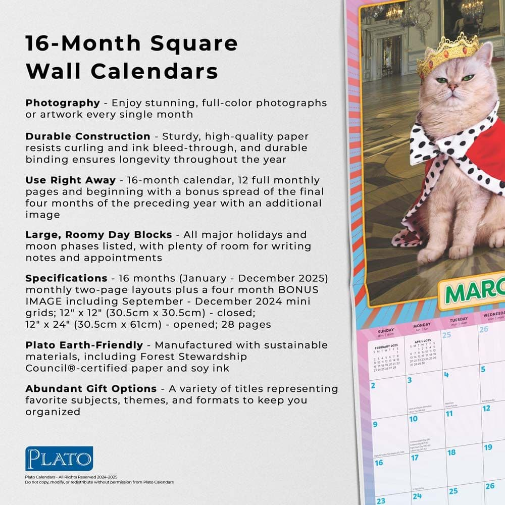 Avanti Cranky Kittiesplato 2025 Wall Calendar - Calendars for Avanti Cranky Kitties By Plato 2025 Calendar Printable