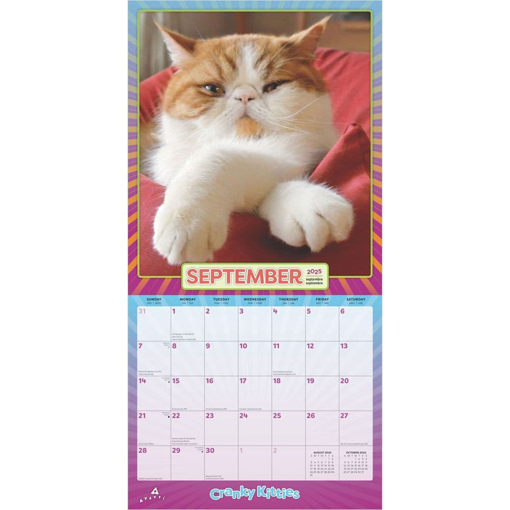 Avanti Cranky Kittiesplato 2025 Wall Calendar pertaining to Avanti Cranky Kitties By Plato 2025 Calendar Printable