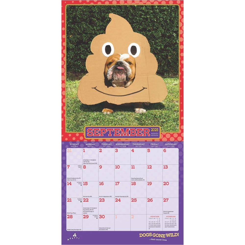 Avanti Dogs Gone Wild 2025 Mini Wall Calendar - Calendars within Avanti Dogs Gone Wild 2025 Calendar Printable