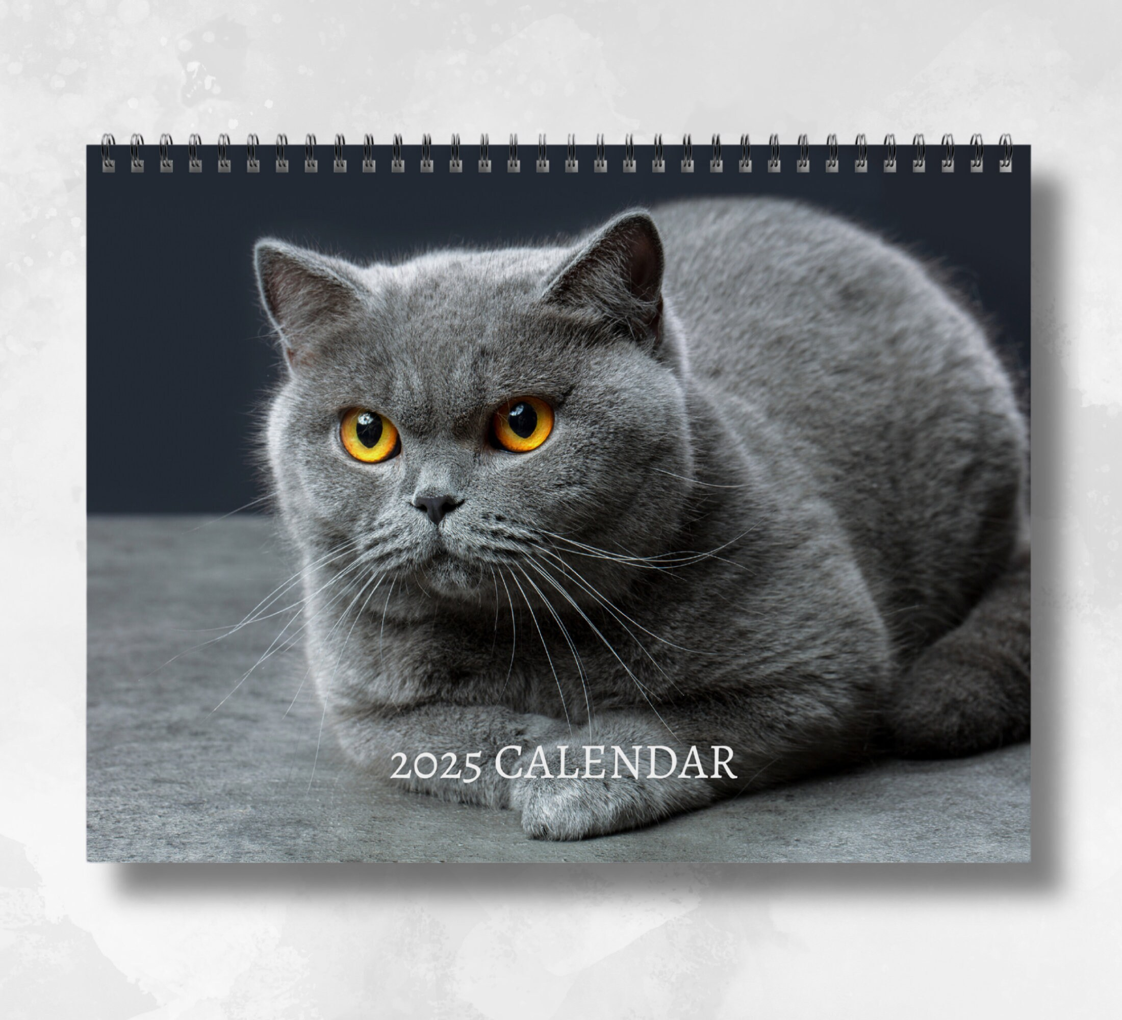 Babushka Calendar - Etsy in British Shorthair Cats 2025 Calendar Printable