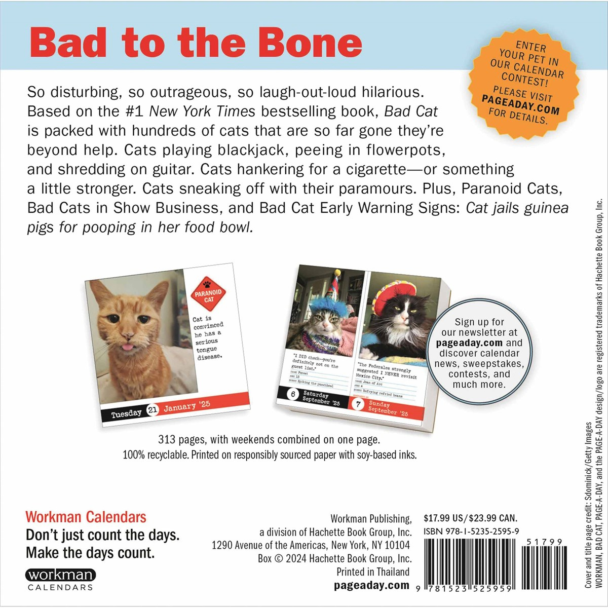 Bad Cat Desk Calendar 2025 within Bad Cat 2025 Calendar Printable