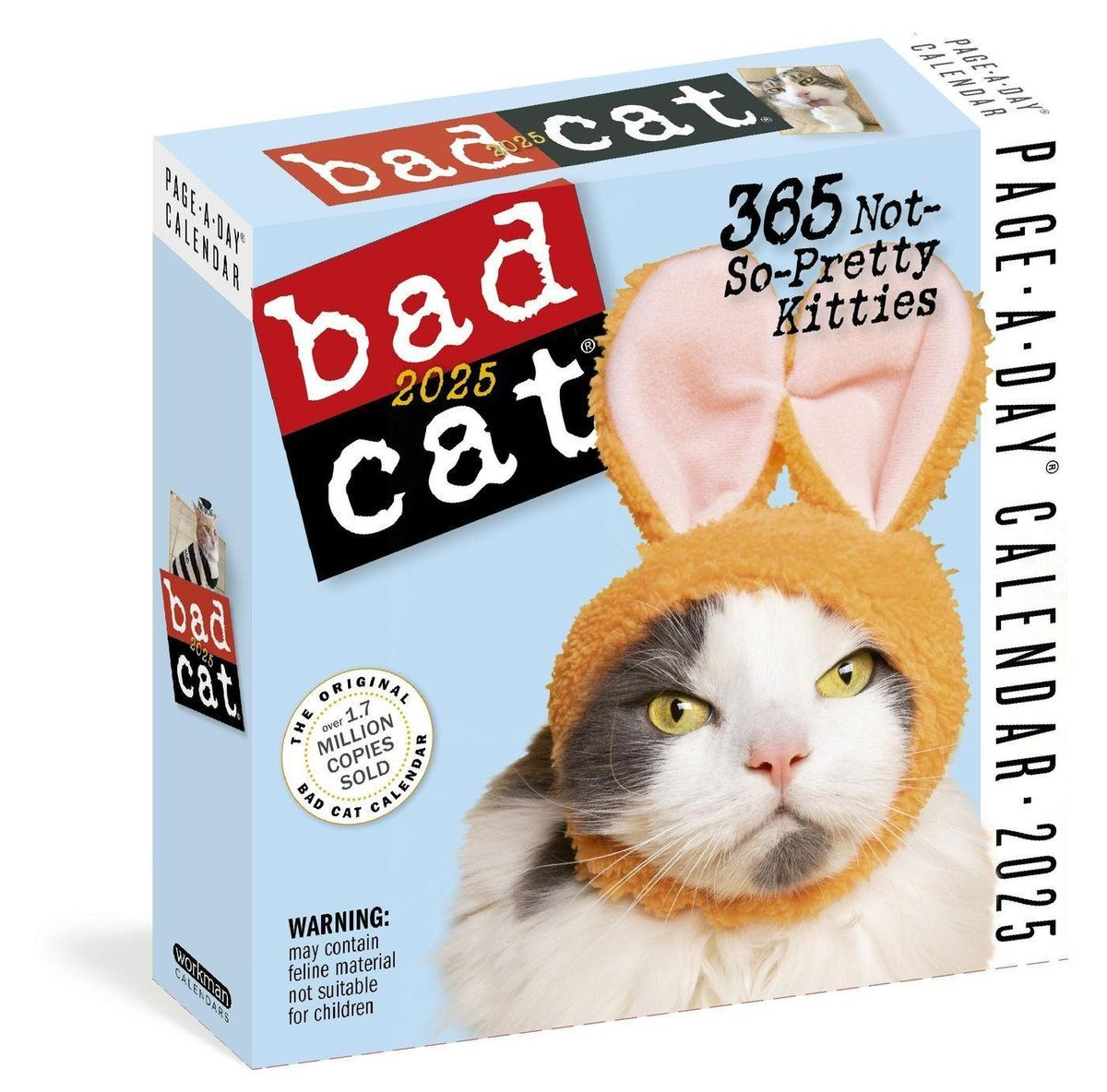 &amp;quot;Bad Cat Page-A-Day(R) Calendar 2025&amp;quot; Kaufen inside Kittens 365 Days 2025 Calendar Printable