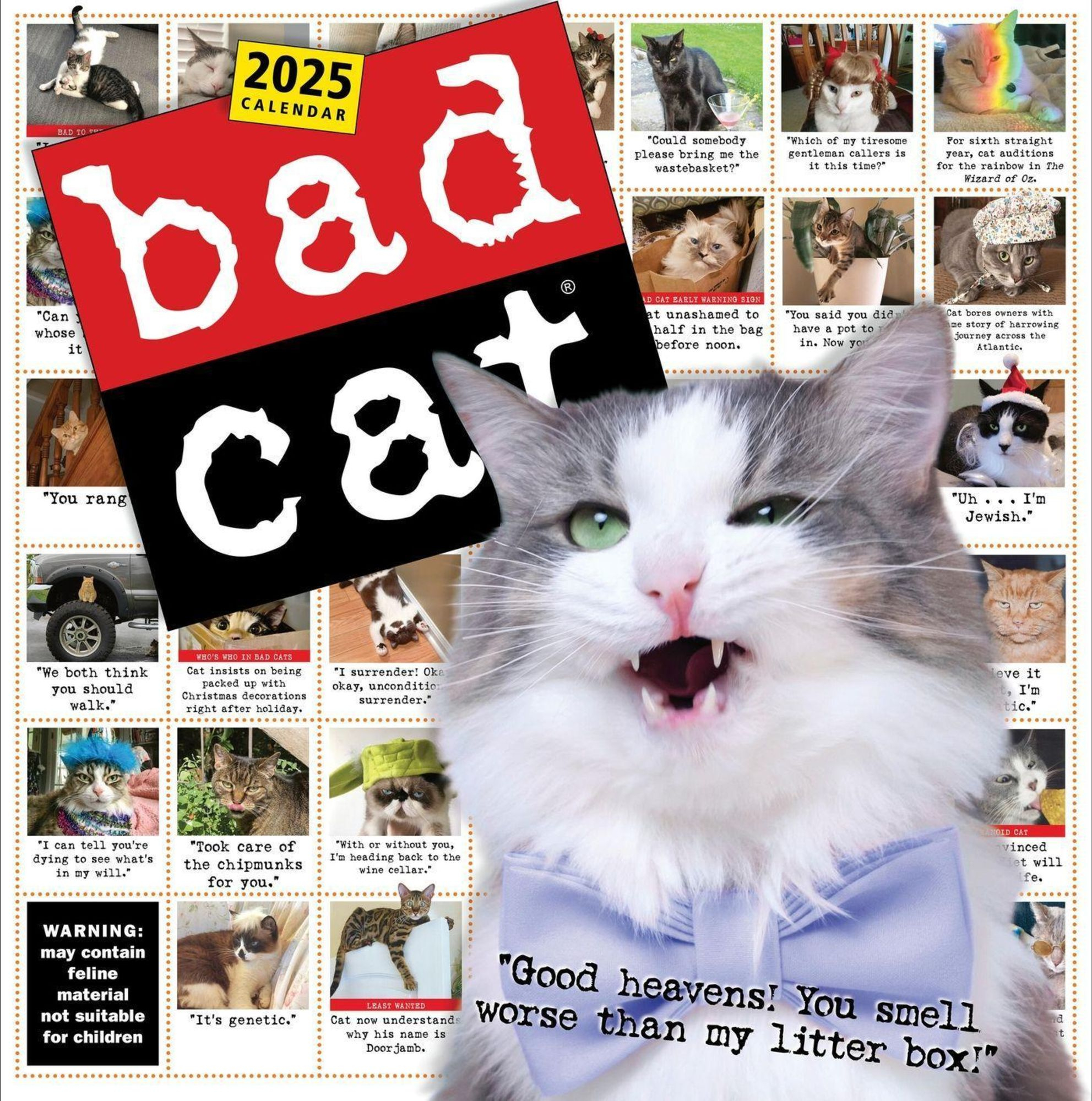 Bad Cat Wall Calendar 2025&amp;quot; Kaufen regarding Cats 365 2025 Calendar Printable