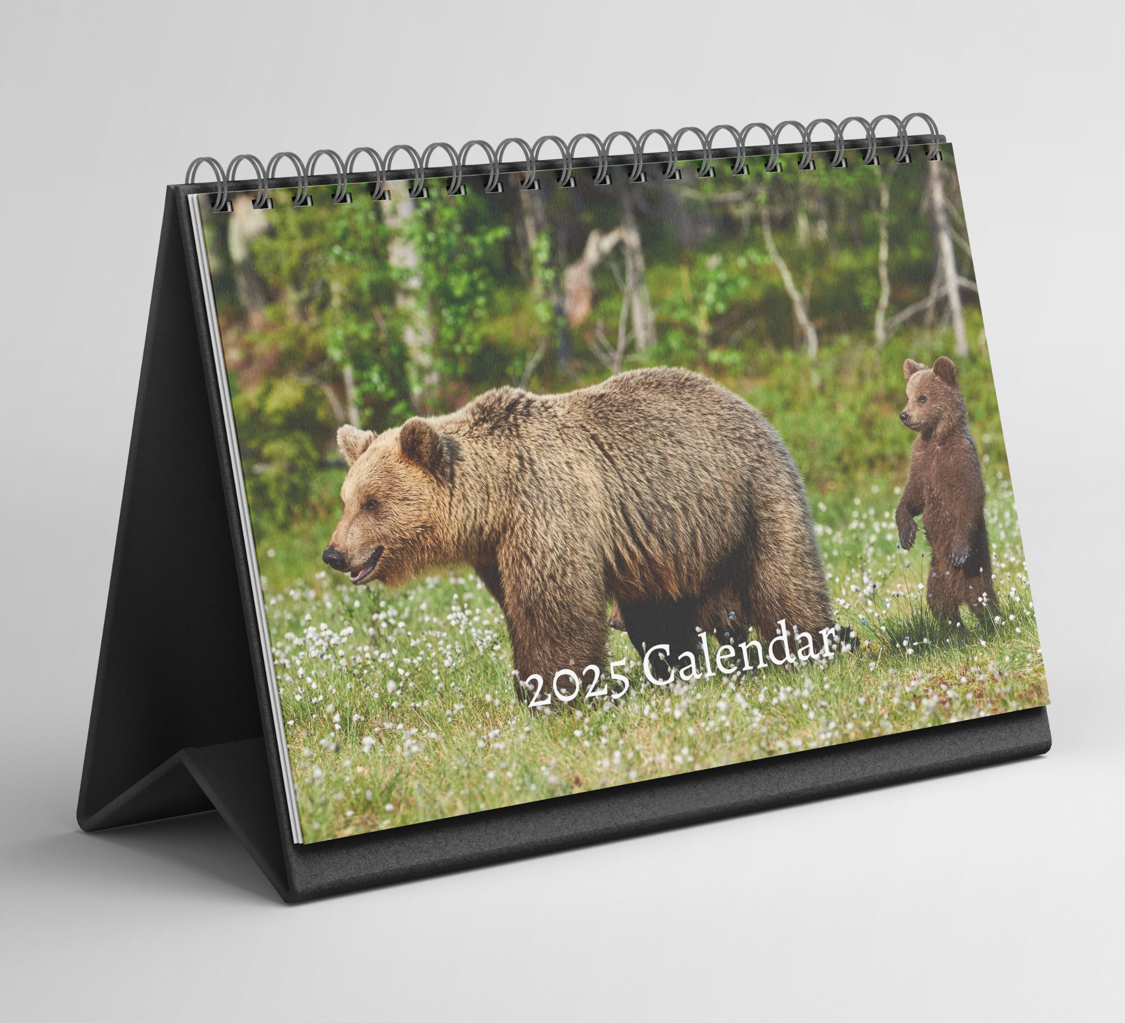Bär Tischkalender 2025-2026: Steh-Klapp-Tischkalender Mit Dickem throughout Grizzly Bears 2025 Calendar Printable