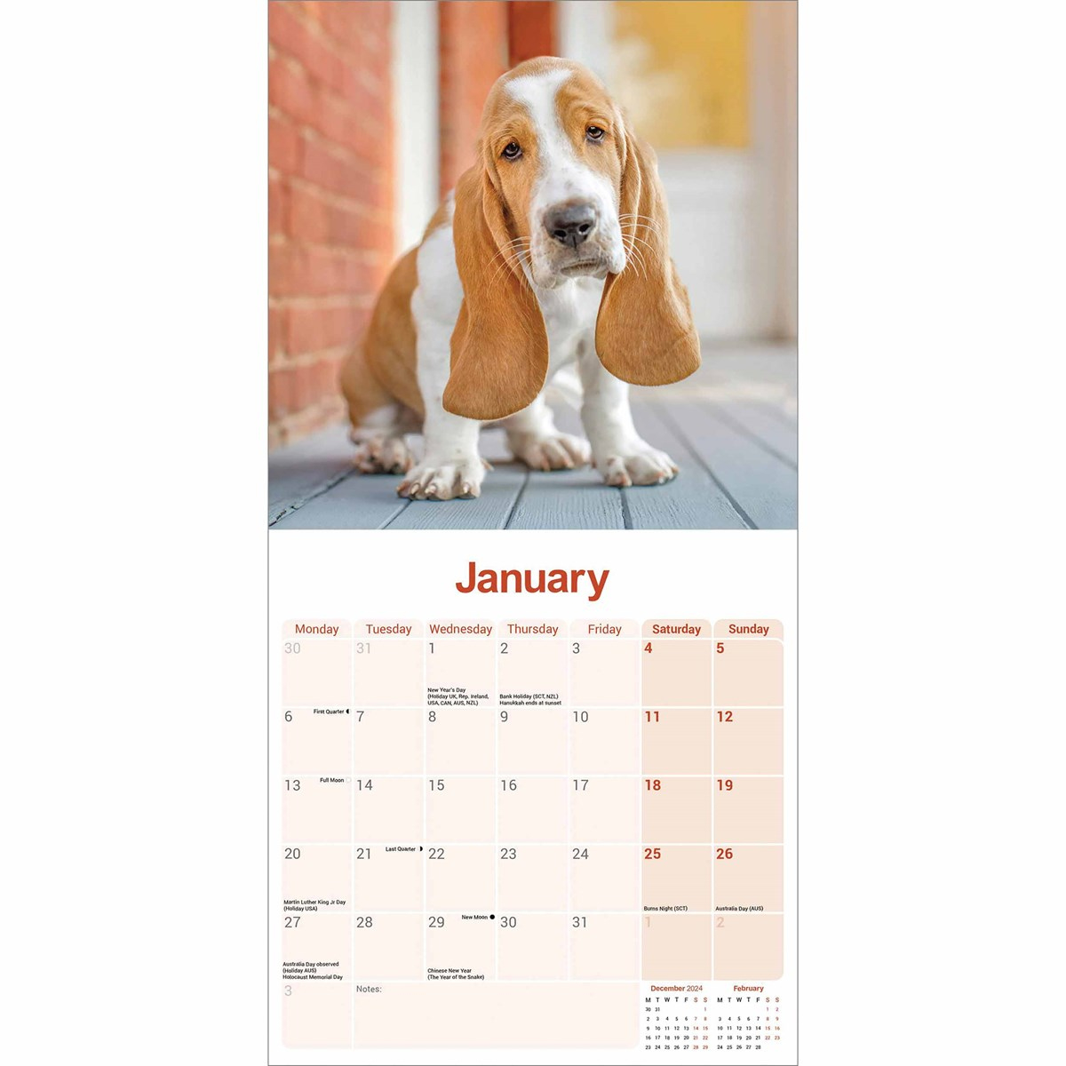 Basset Hound Calendar 2025 for Just Basset Hounds 2025 Calendar Printable