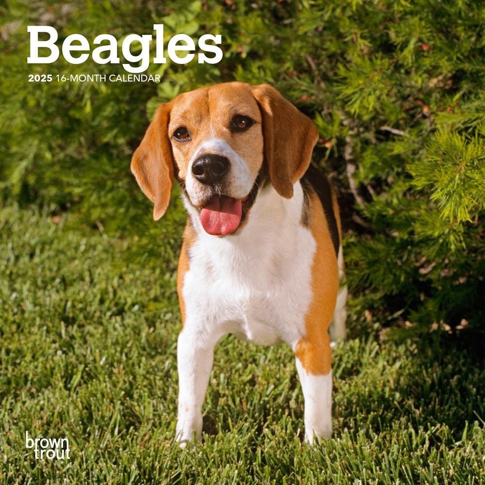 Beagle Dog Calendar - Etsy regarding Beagle Rules 2025 Calendar Printable