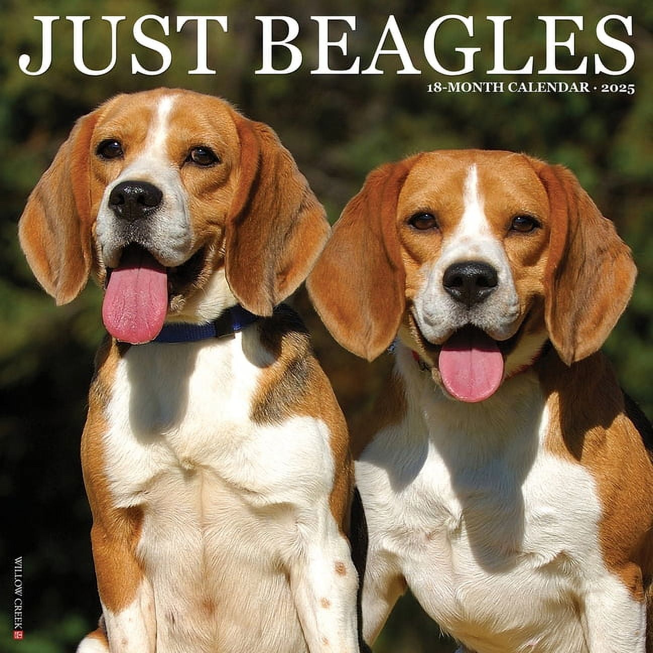 Beagles 2025 Wall Calendar with regard to Beagle Rules 2025 Calendar Printable