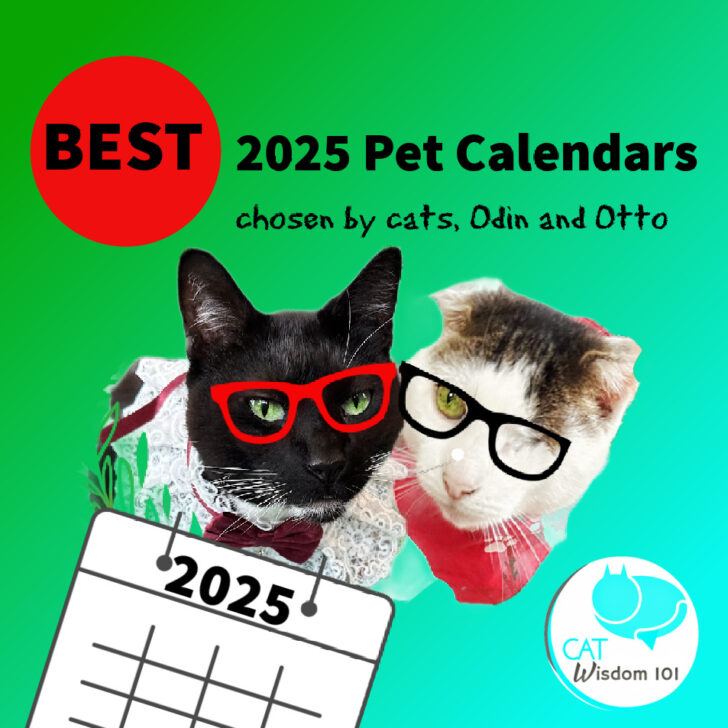 Cat Trivia 2025 Calendar Printable