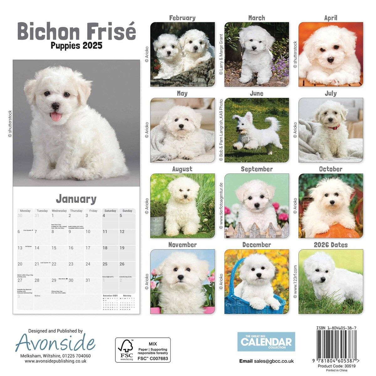 Bichon Frisé Puppies Mini Calendar 2025 - Dogs - Month To View for Just Bichon Frises Puppies 2025 Calendar Printable