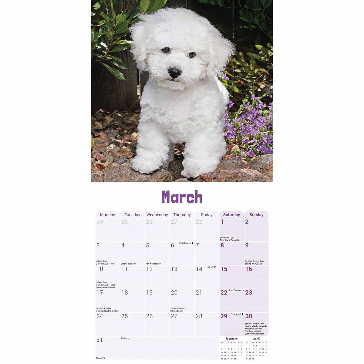Bichon Frisé Puppies Mini Calendar 2025 - Dogs - Month To View intended for Just Bichon Frises Puppies 2025 Calendar Printable