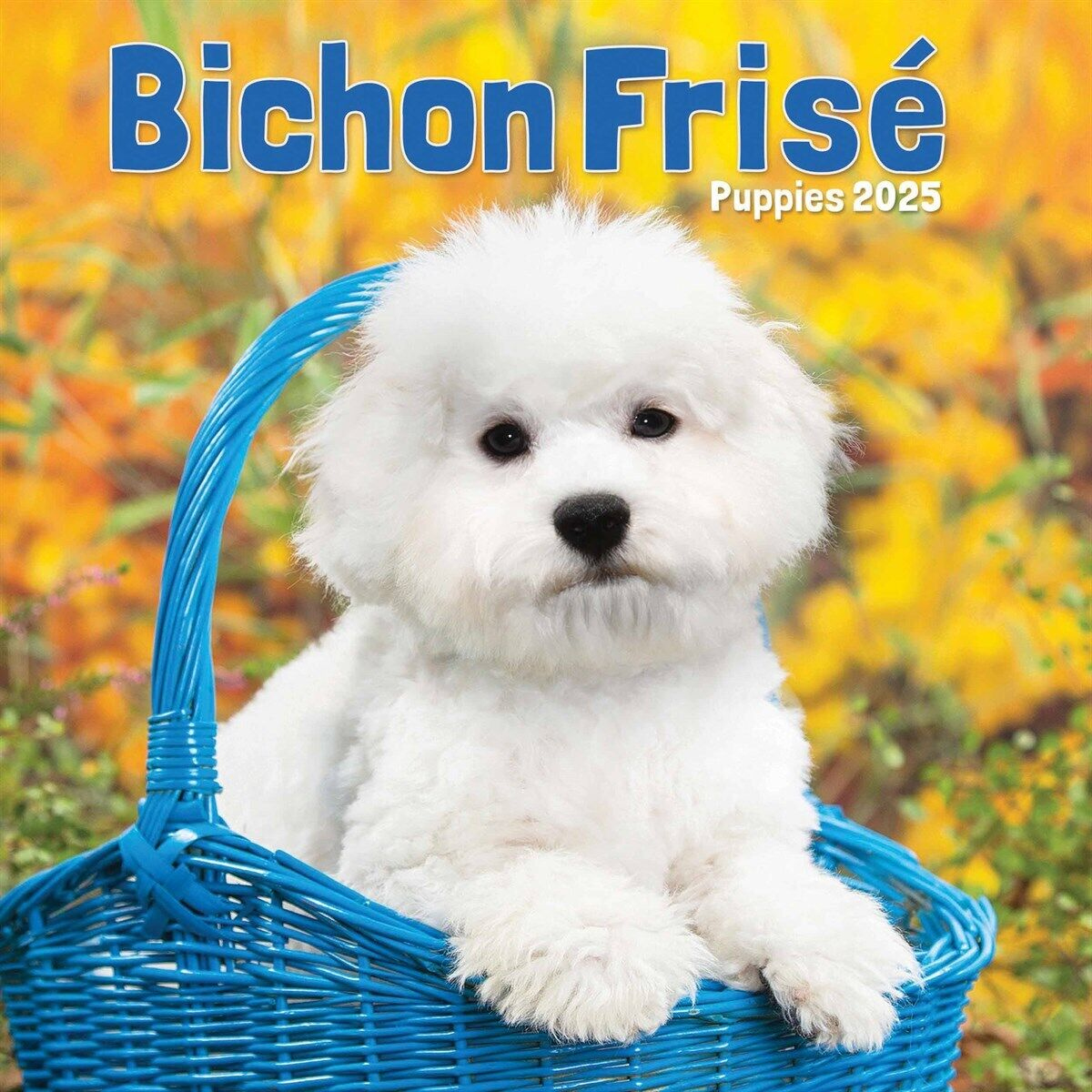 Bichon Frisé Puppies Mini Calendar 2025 - Dogs - Month To View with Bichons Frises 2025 Calendar Printable