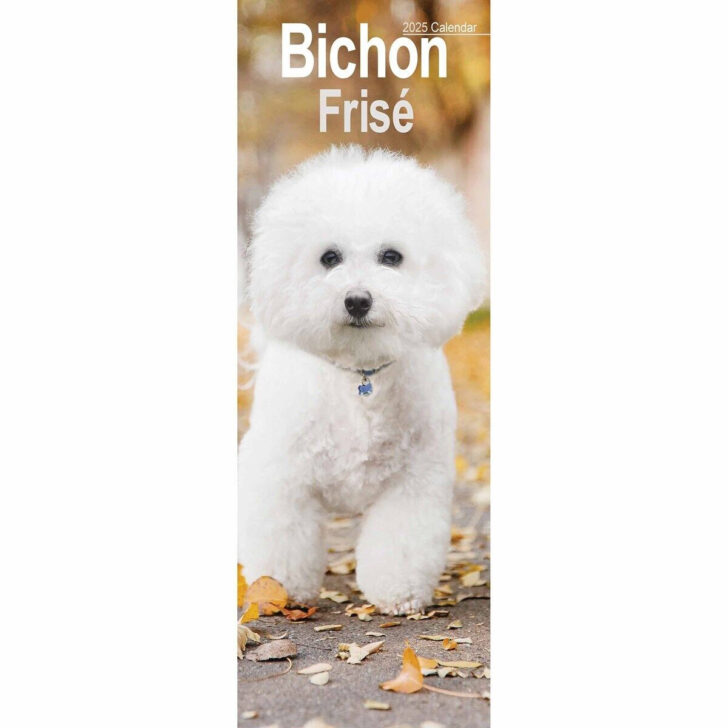 Just Bichon Frises Puppies 2025 Calendar Printable