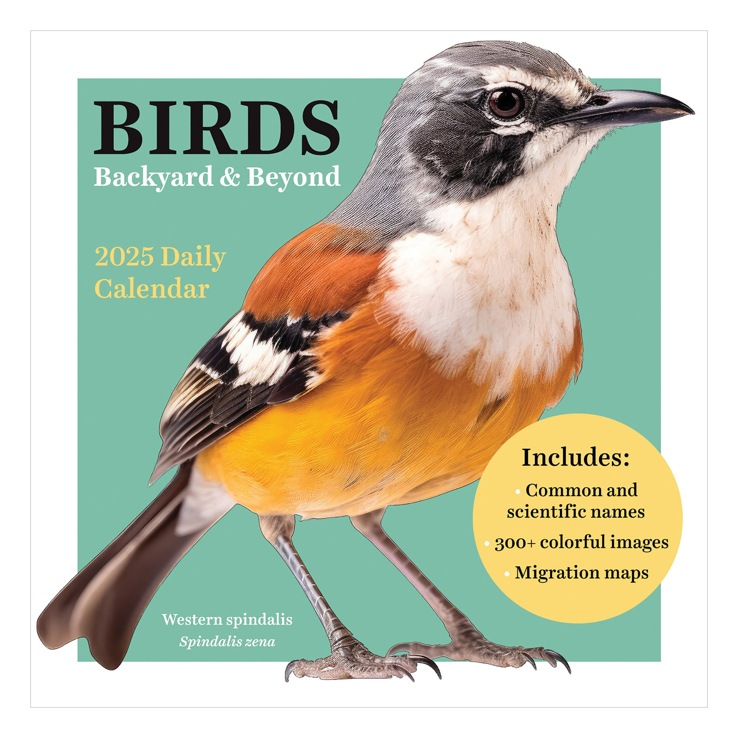 Bird Calendar - Etsy pertaining to Birds Backyard And Beyond 2025 Calendar Printable