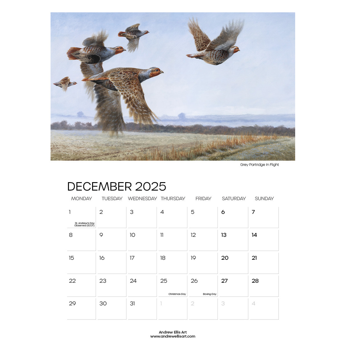 Bird Of Prey 2025 Calendar, Andrew Ellis Art, Fine Art Prints for Birds Of Prey Photo 2025 Calendar Printable