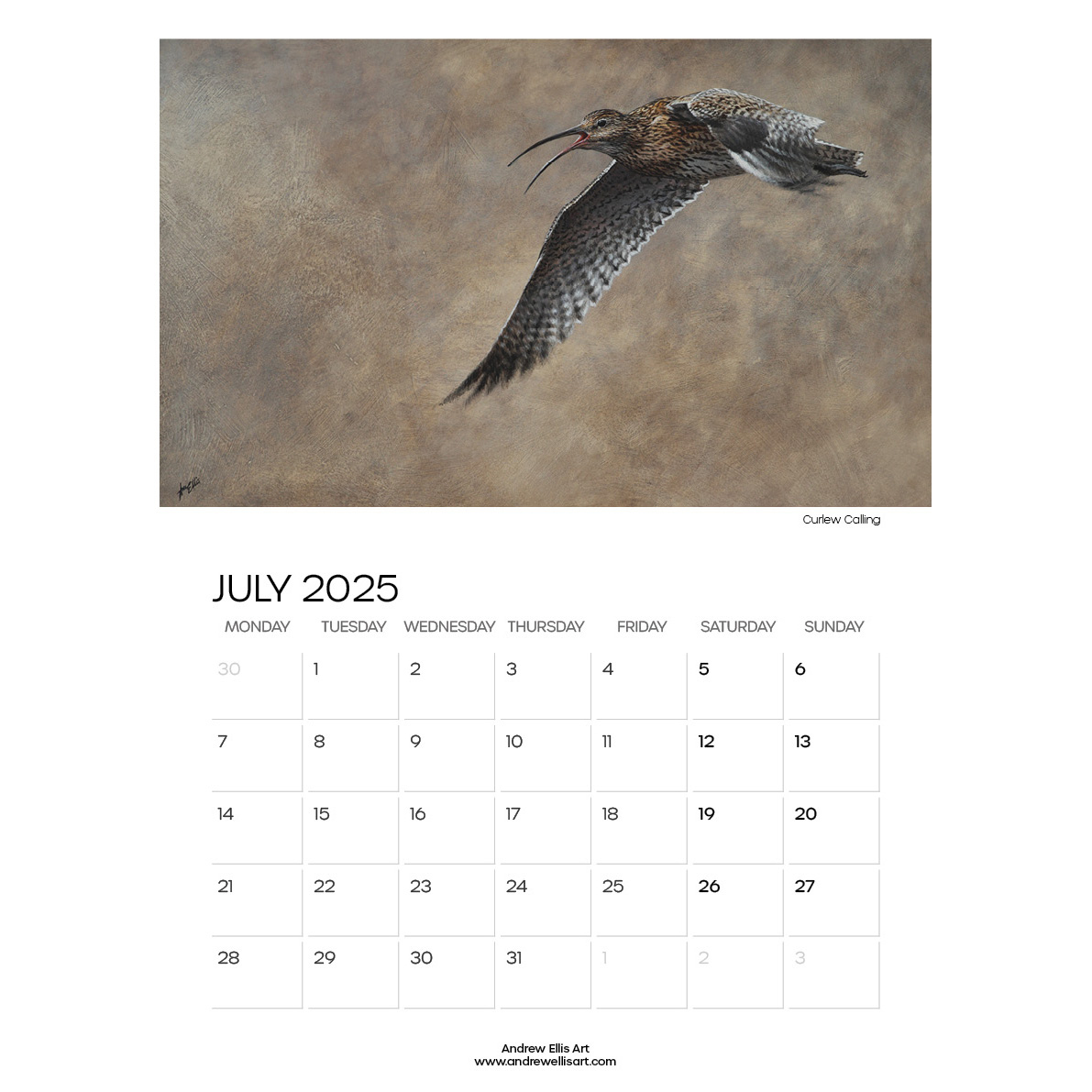Bird Of Prey 2025 Calendar, Andrew Ellis Art, Fine Art Prints with Birds of Prey Photo 2025 Calendar Printable