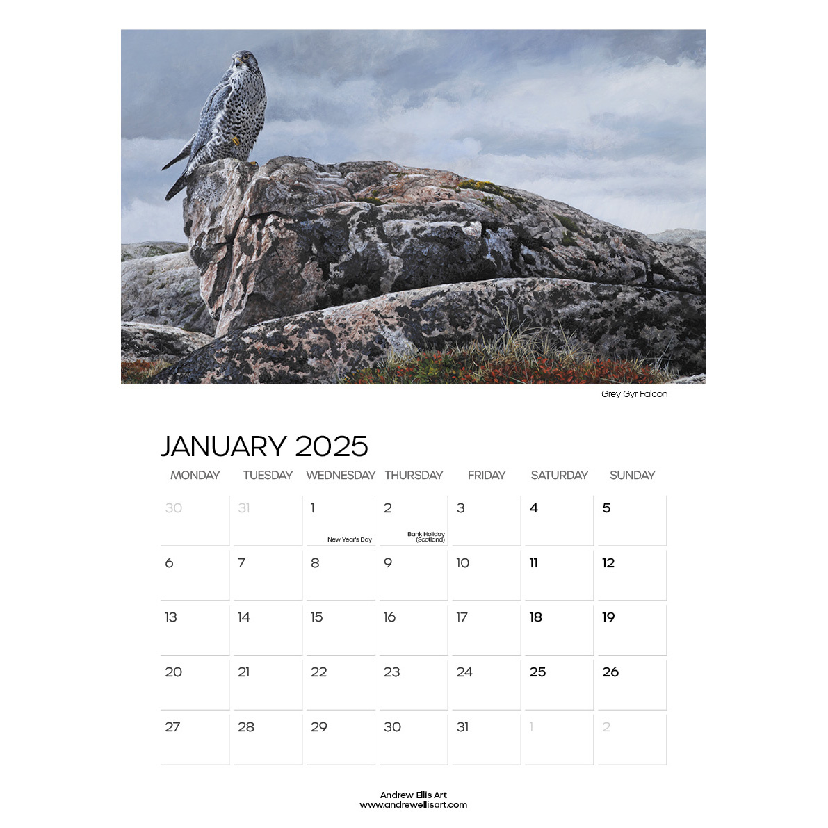 Bird Of Prey 2025 Calendar, Andrew Ellis Art, Fine Art Prints with Birds Of Prey Photo 2025 Calendar Printable