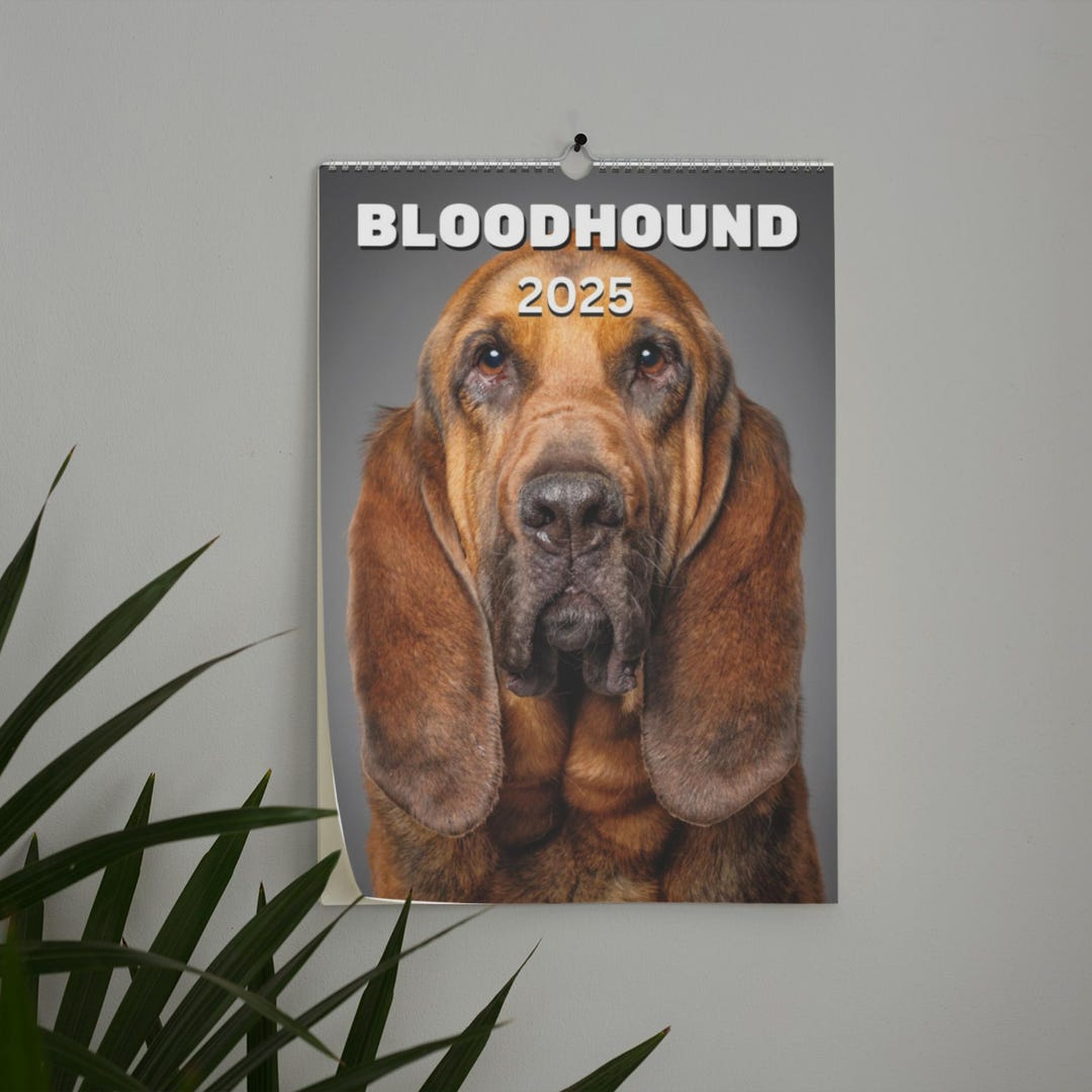 Bloodhound Wall Calendar 2025 - Etsy Australia throughout Bloodhounds 2025 Calendar Printable
