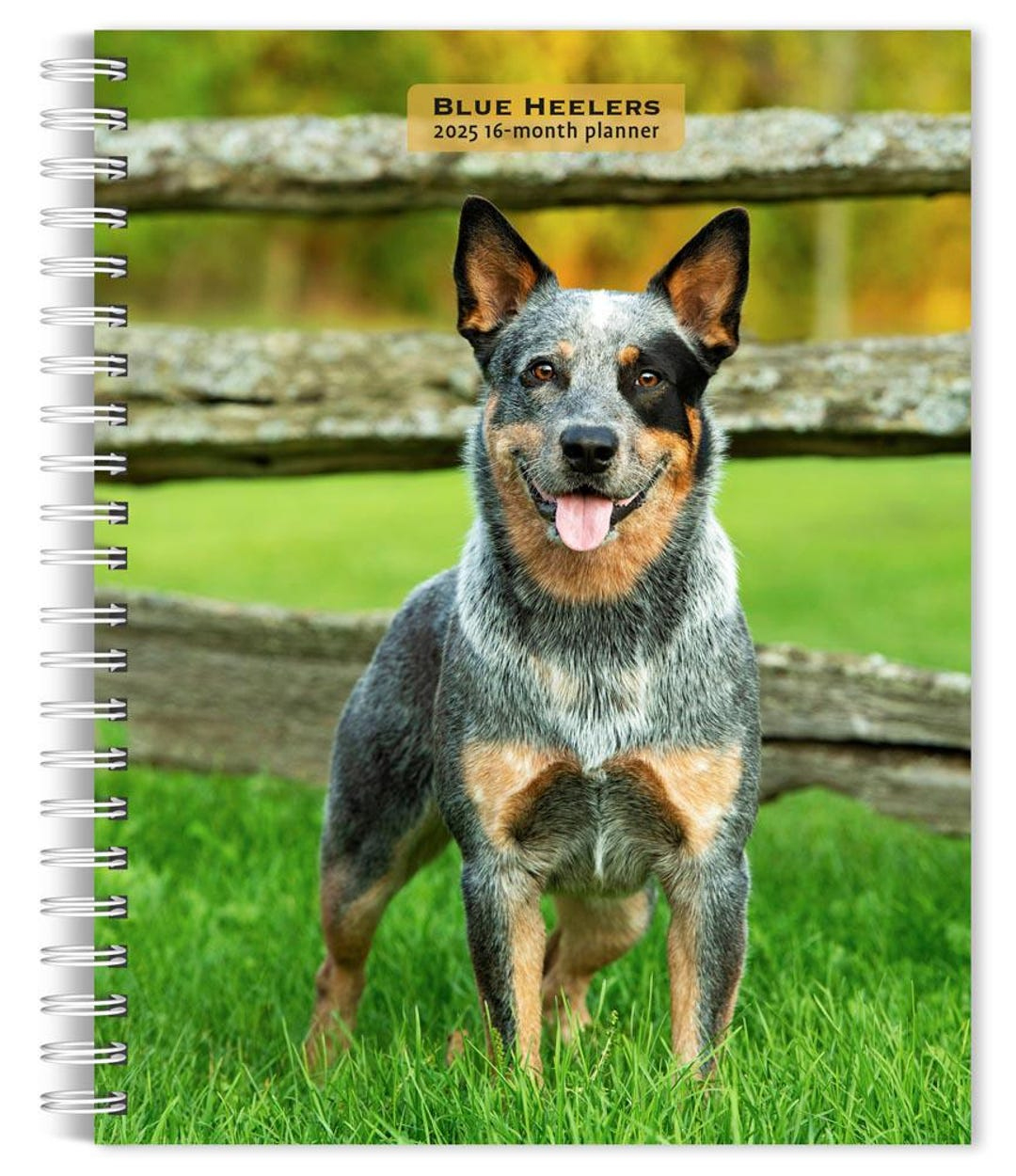 Blue Heelers | 2025 6 X 7.75 Inch Spiral-Bound Wire-O Weekly Engagement Planner Calendar | New Full-Color Image Every Week | Browntrout - Etsy Denmark for Blue Heelers 2025 Calendar Printable