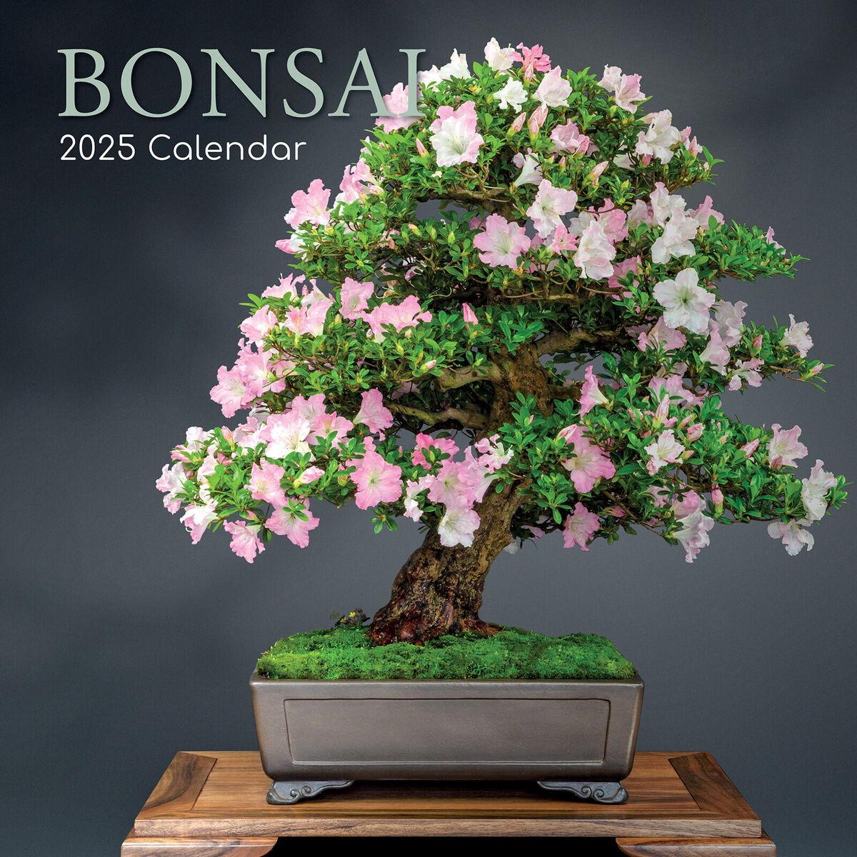 Bonsai - 2025 Calendar - Brand New - 889501 | Ebay within Bonsai 2025 Calendar Printable
