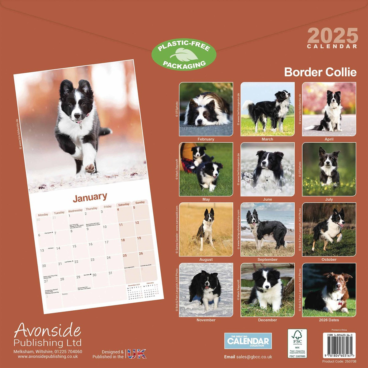 Border Collie Calendar 2025 with Just Border Collies 2025 Calendar Printable