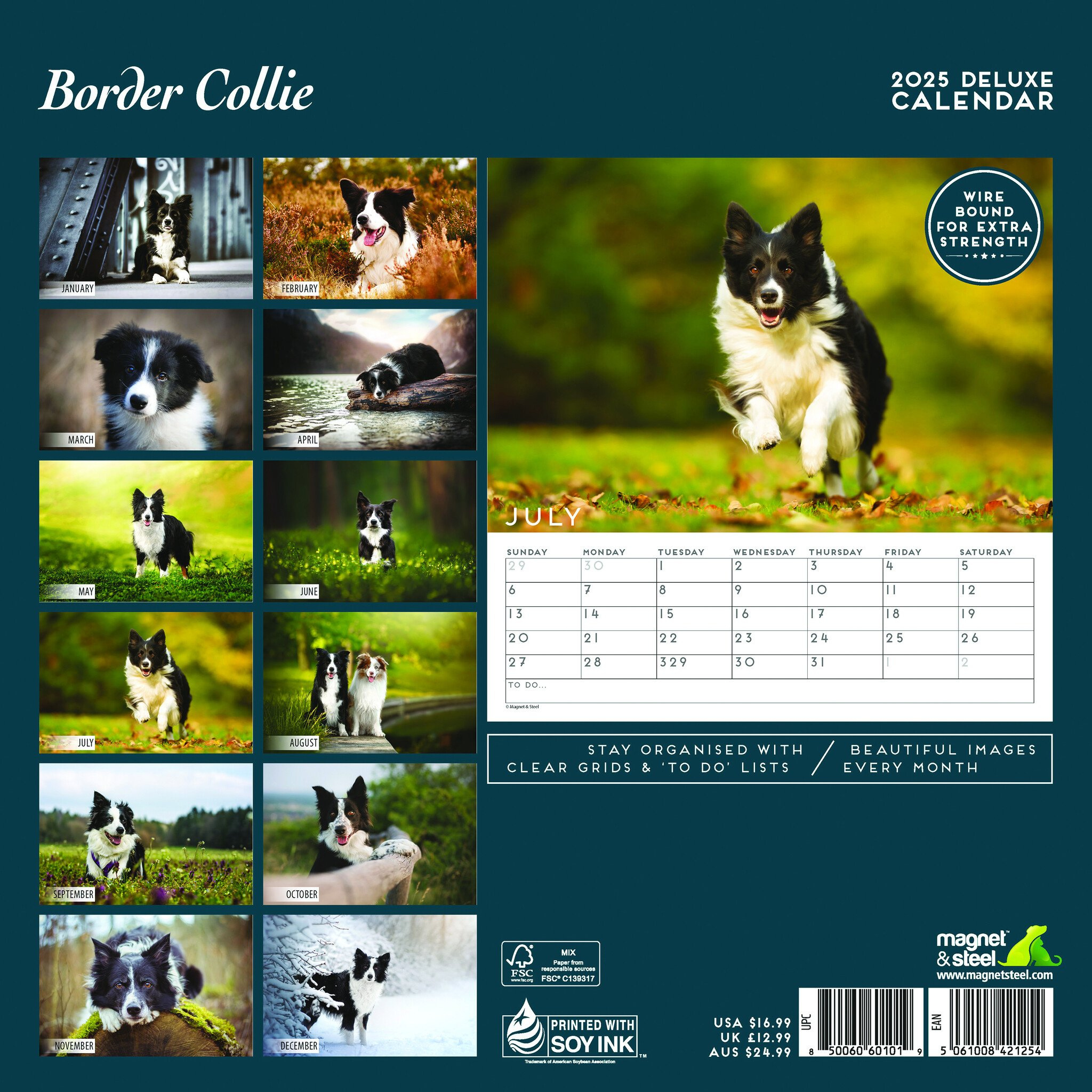 Border Collie Kalender 2025 Kaufen | Einfach Online Bestellen inside Collies 2025 Calendar Printable
