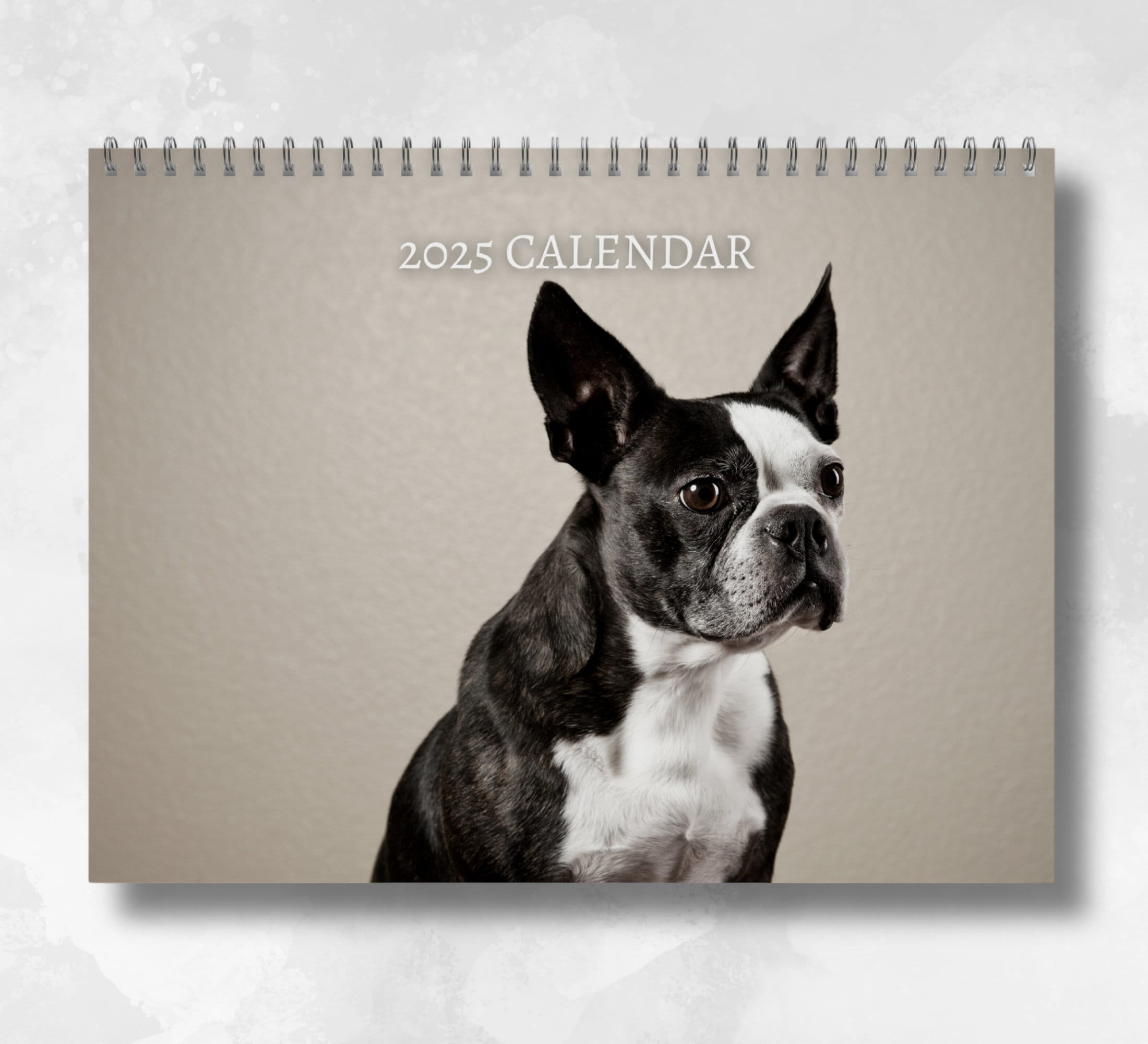 Boston Terrier Calendar 2025: Monthly Wall Calendar, A4 | Hanging intended for Just Boston Terriers 2025 Calendar Printable