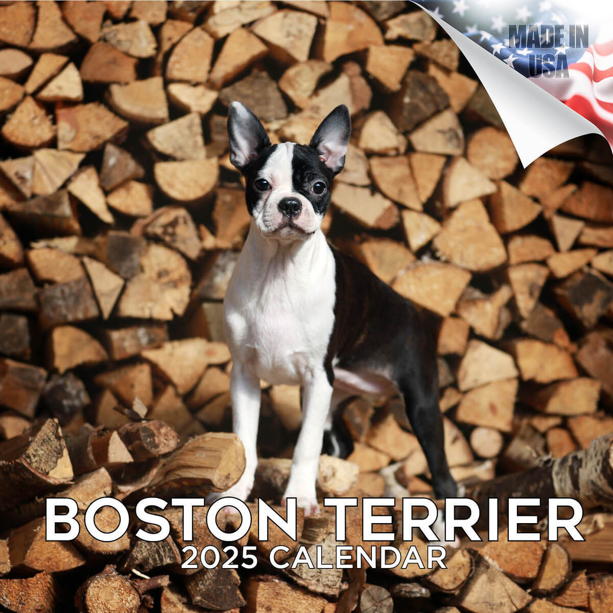Boston Terrier Dog Breed Calendar 2025 Full Size 12X24 Made In Usa within Just Boston Terriers 2025 Calendar Printable