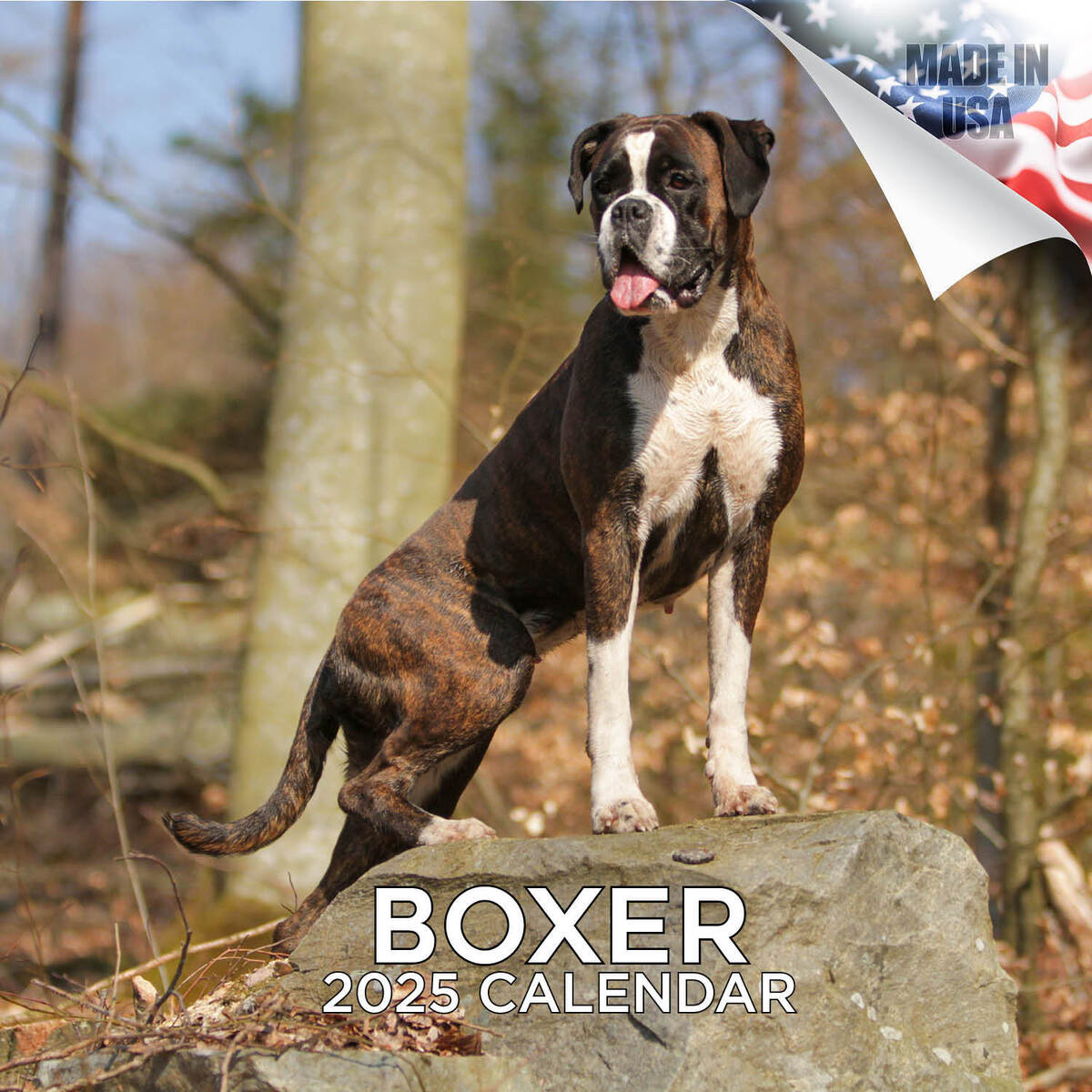 Boxer Dog Breed Calendar 2025 Full Size 12X24 Made In Usa | Ebay throughout Just American Pit Bulls 2025 Calendar Printable
