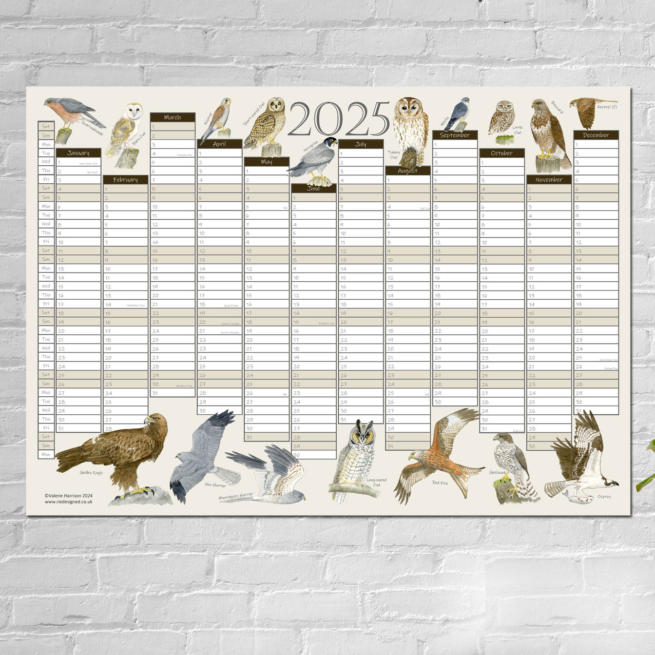 British Birds Of Prey Wall Planner 2025 A2 Calendar Poster, Art throughout Birds Of Prey Photo 2025 Calendar Printable