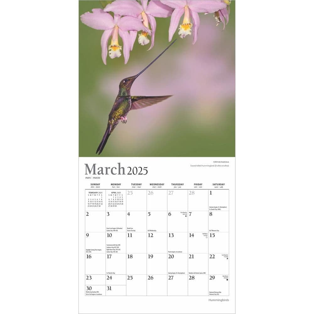 Browntrout, Hummingbirds Plato 2025 Mini Wall Calendar regarding Hummingbirds Plato 2025 Calendar Printable