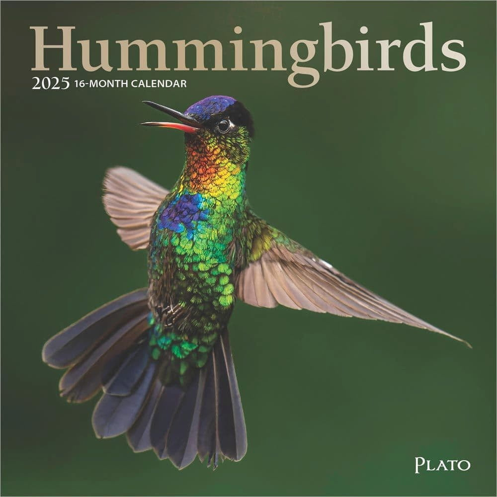 Browntrout, Hummingbirds Plato 2025 Mini Wall Calendar within Hummingbirds Plato 2025 Calendar Printable