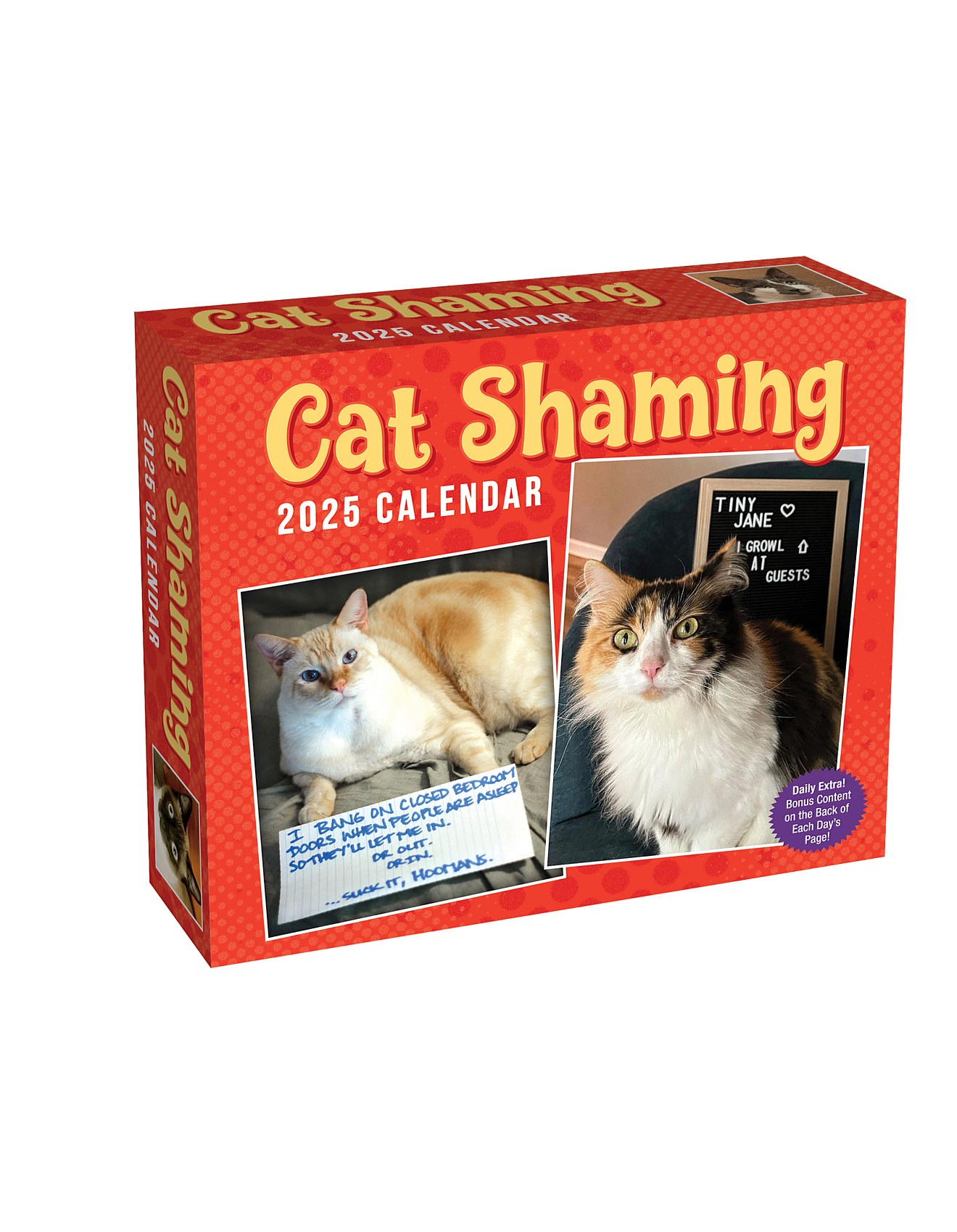 Browntrout Publishers Cat Shaming 2025 Day-To-Day Boxed Calendar inside Cat Shaming 2025 Calendar Printable
