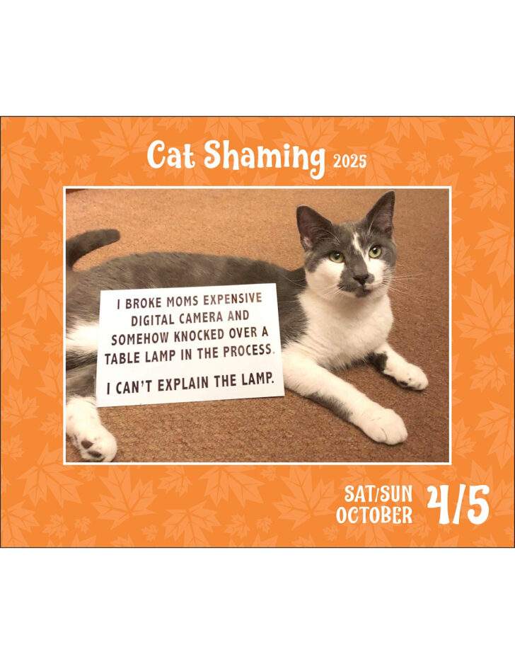 Cat Shaming 2025 Calendar Printable
