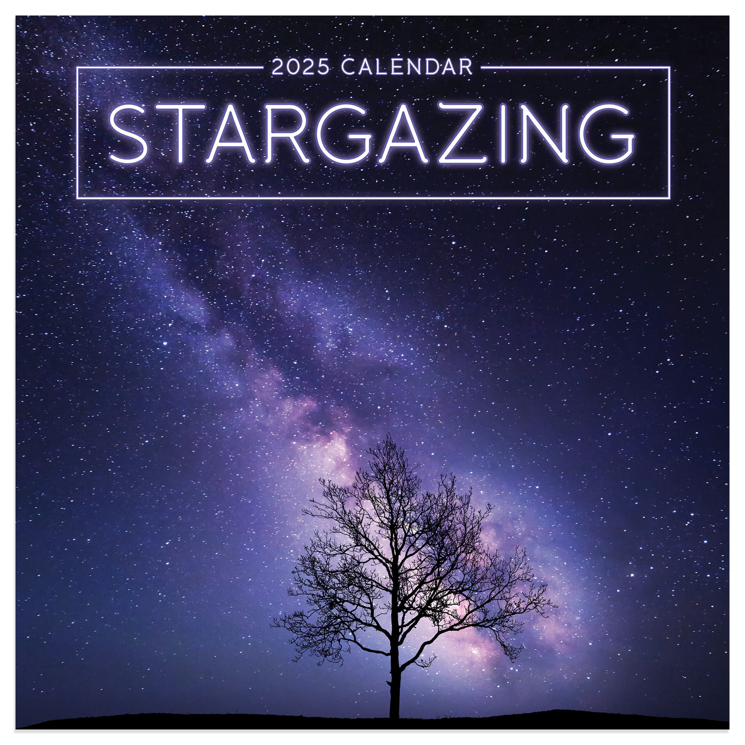 Buy Final Sale 2025 Stargazing Mini Calendar Online In India - Etsy within Stargazing 2025 Calendar Printable