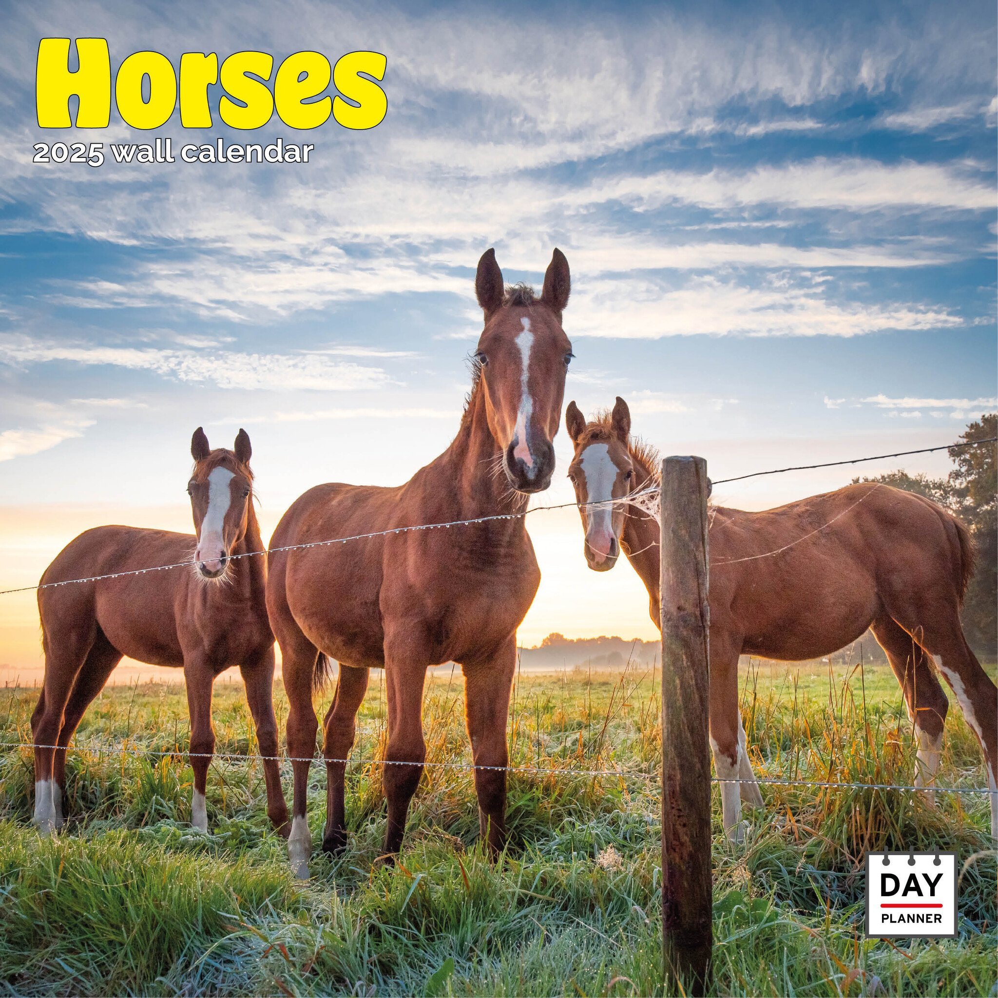 Buy Horse Calendar 2025? Order Online Quickly And Easily intended for Friesians Horses 2025 Calendar Printable