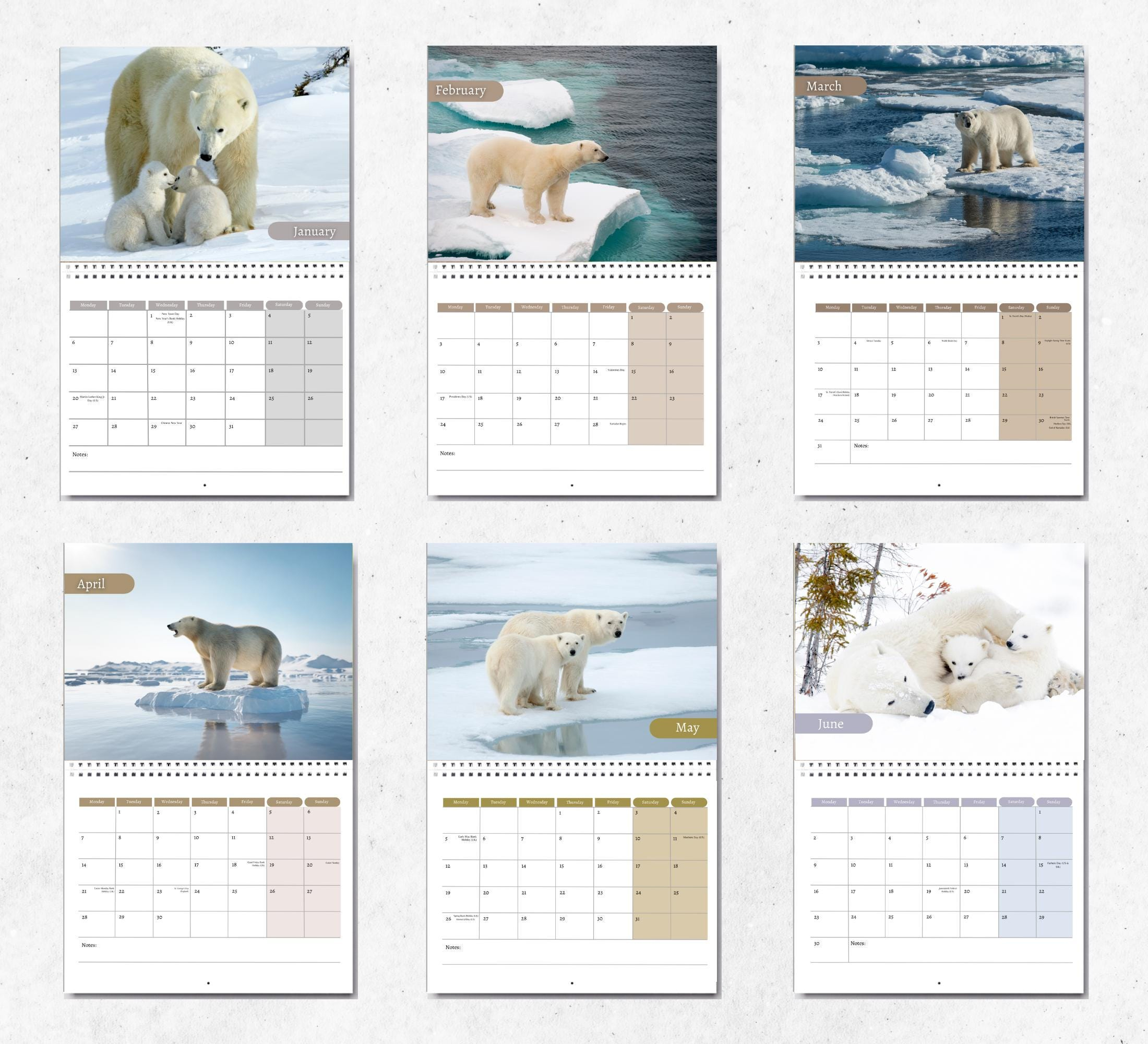 Buy Polar Bear Calendar 2025: Monthly Wall Calendar With Notes with regard to Polar Bears WWF 2025 Calendar Printable