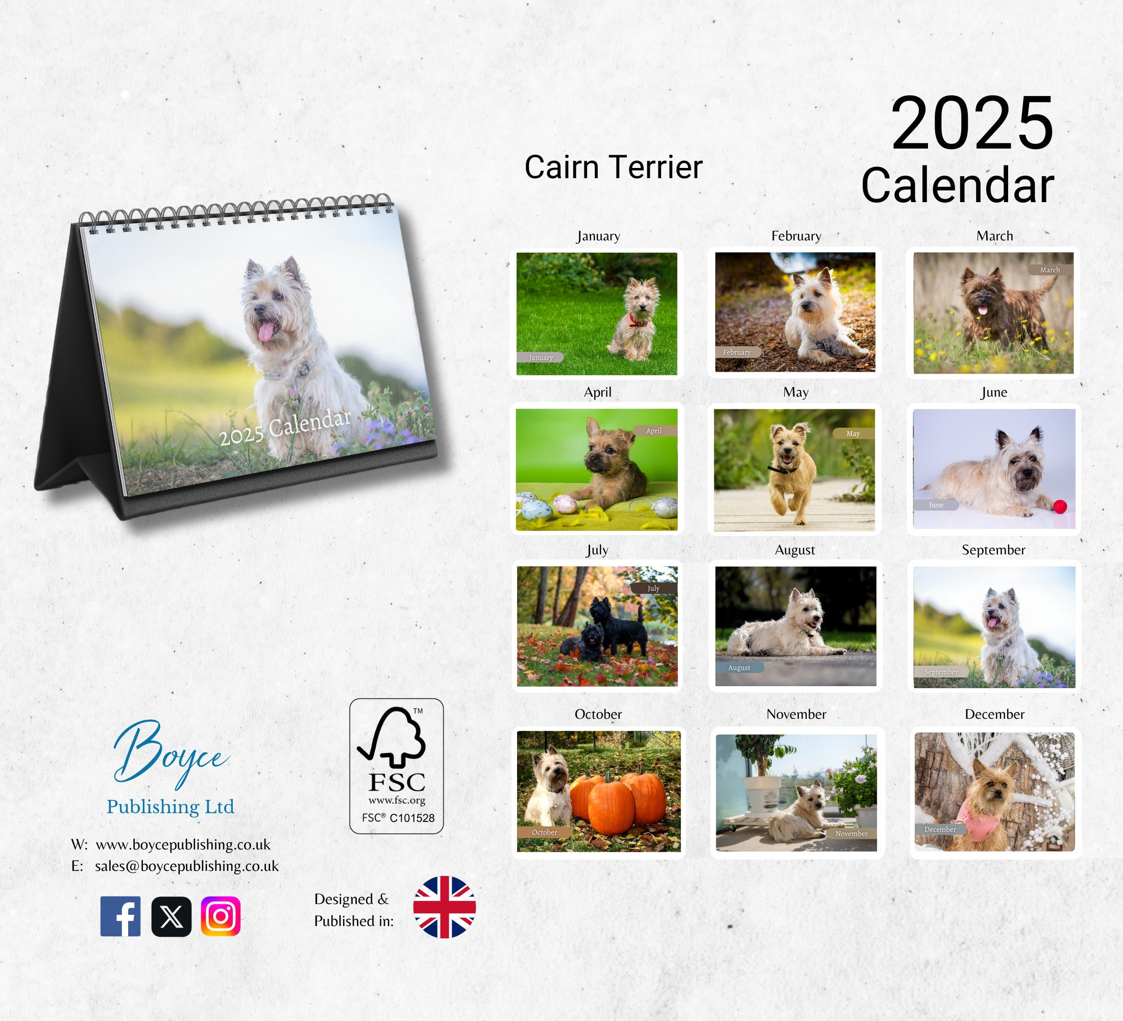 Cairn Terrier Desk Calendar 2025-2026: Standing Flip Desktop with Just Cairn Terrier 2025 Calendar Printable