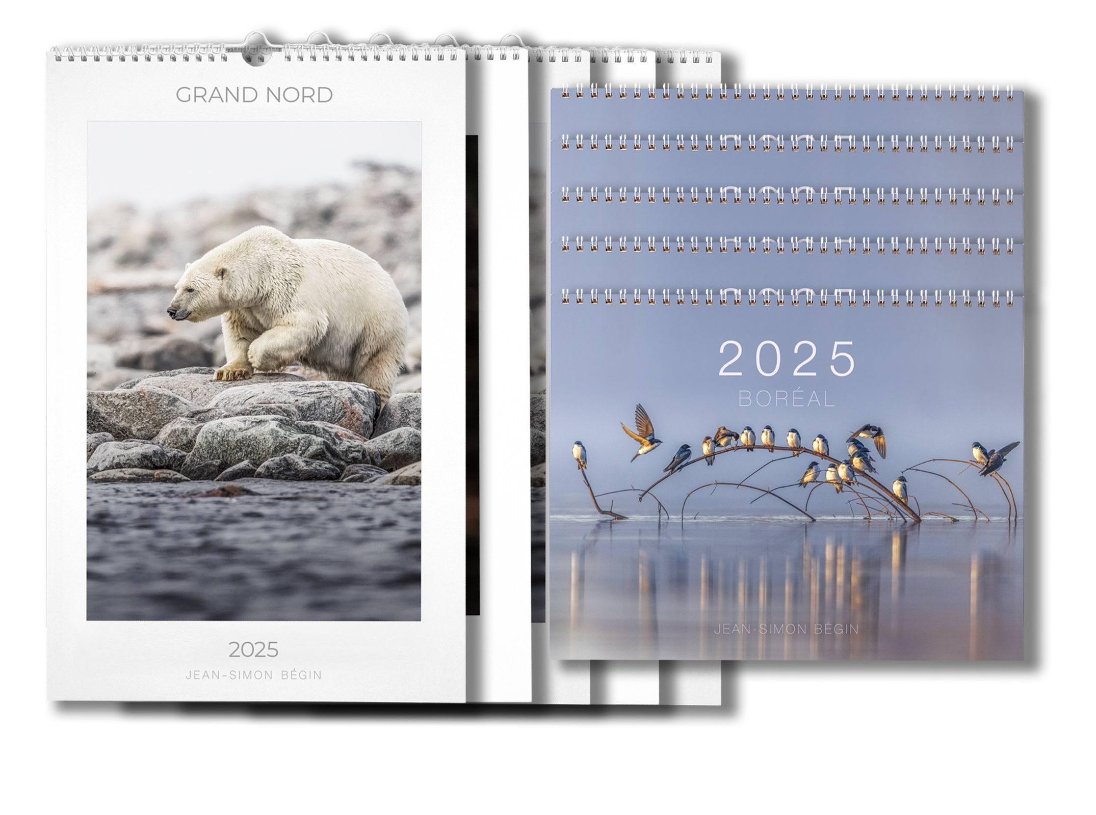 Calendar 2025 | Jean-Simon Bégin - Wildlife Photographer inside Polar Bears Wwf 2025 Calendar Printable