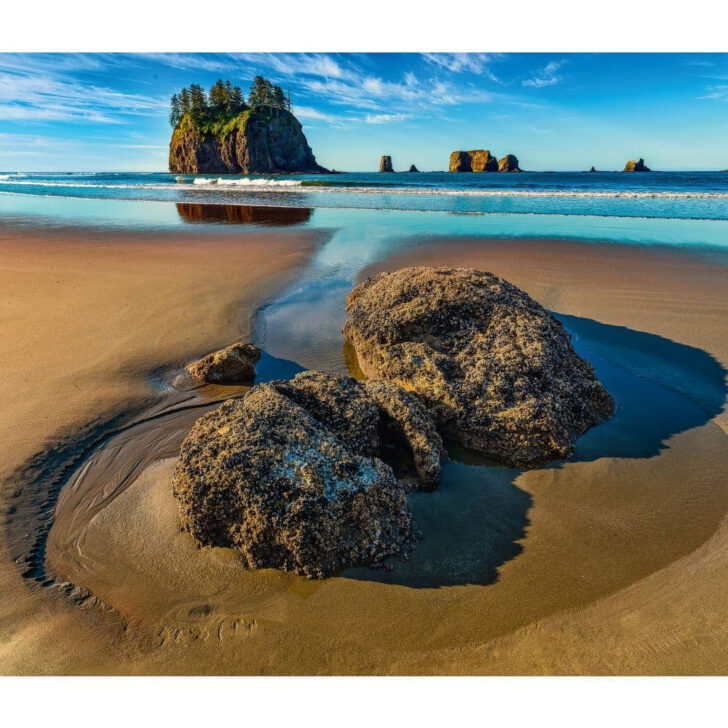 National Parks WWF 2025 Calendar Printable