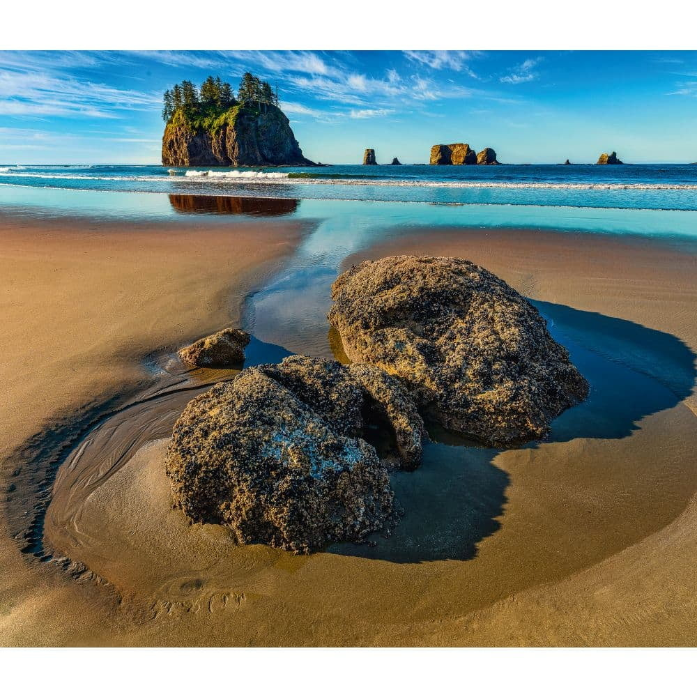 Calendar Ink, National Parks Wwf 2025 Wall Calendar - Walmart in National Parks Wwf 2025 Calendar Printable