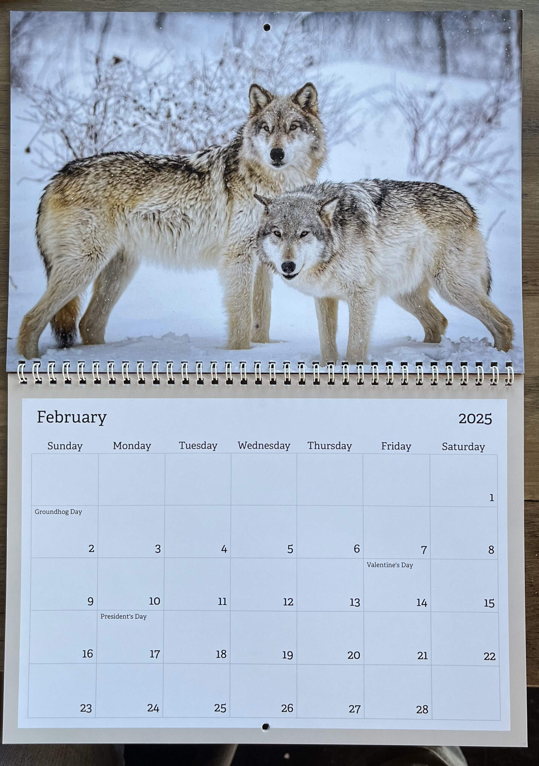 Calendars 2025 throughout Wolves 2025 Calendar Printable