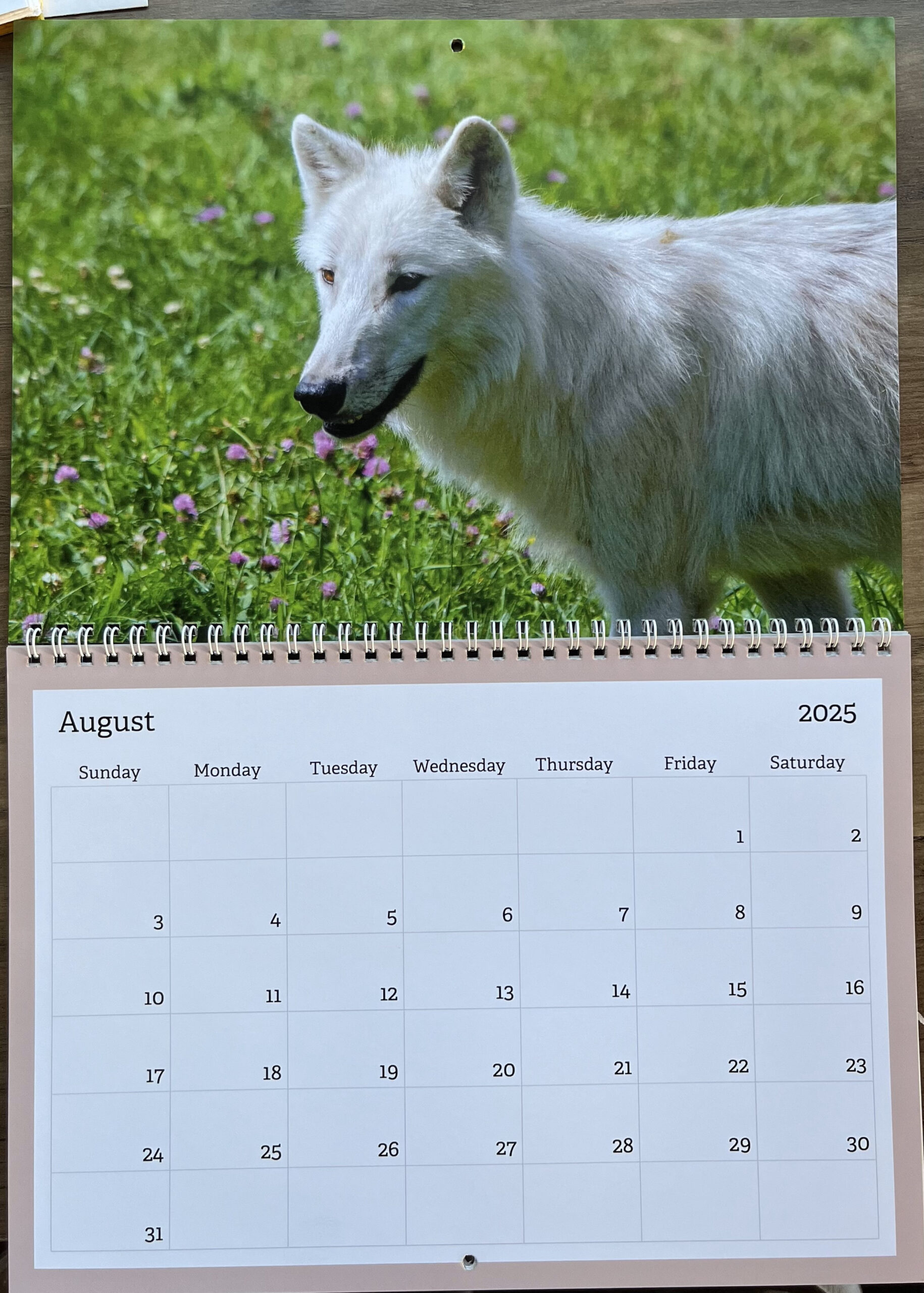 Calendars 2025 within Tundra 2025 Calendar Printable