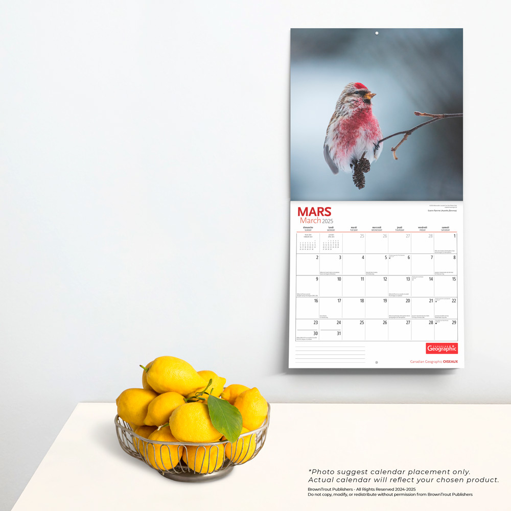 Canadian Geographic Oiseaux Official | 2025 12 X 24 Inch Monthly intended for Canadian Geographic Oiseaux 2025 Calendar Printable