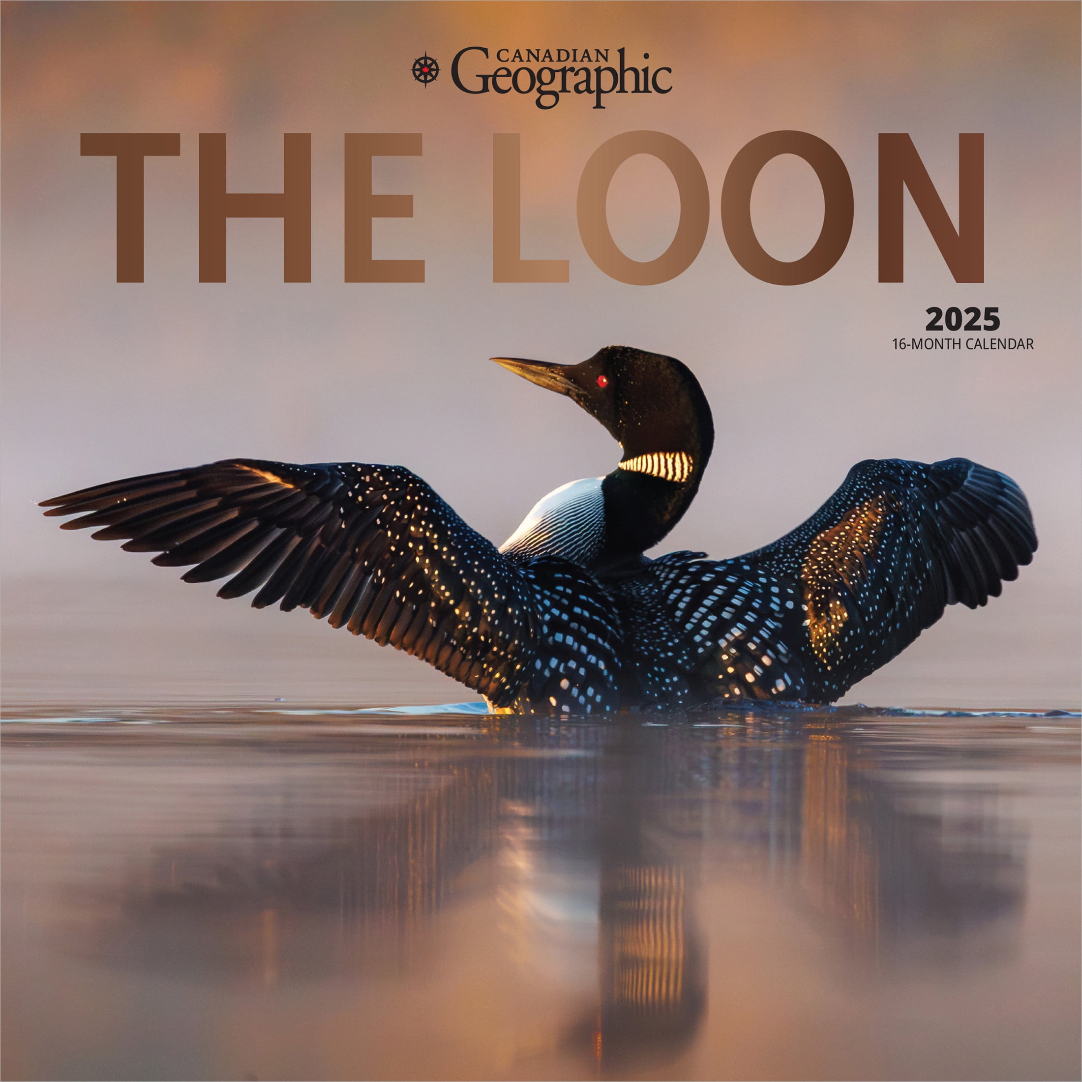 Canadian Geographic The Loon | 2025 12X24&amp;quot; Wall Calendar | Wyman Publishing regarding Loons 2025 Calendar Printable