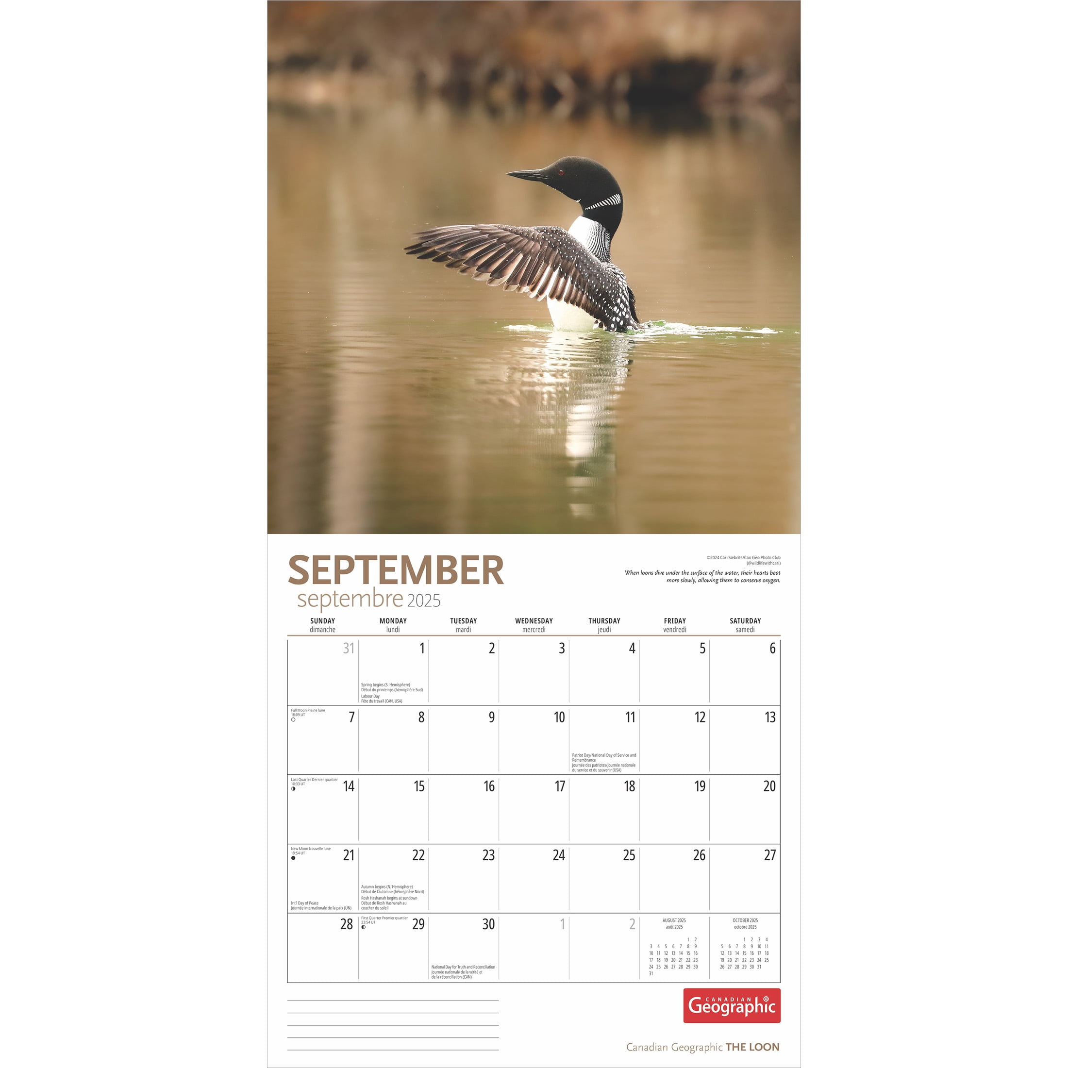 Canadian Geographic The Loon | 2025 12X24&amp;quot; Wall Calendar | Wyman Publishing within Loons 2025 Calendar Printable