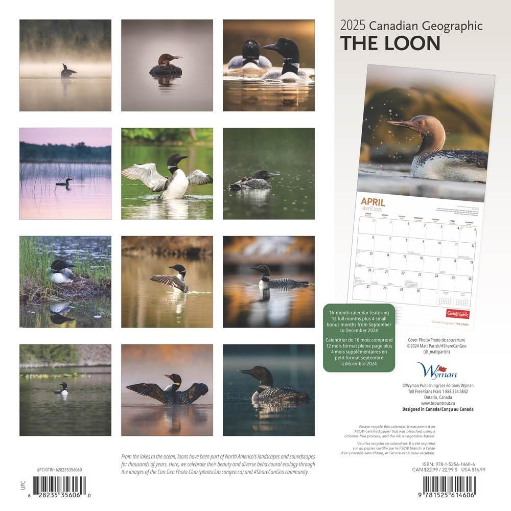 Canadian Geographic The Loon Official | 2025 12 X 24 Inch Monthly throughout Loons 2025 Calendar Printable