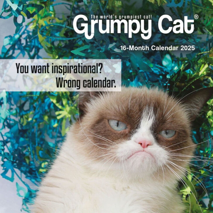 Grumpy Cat 2025 Calendar Printable