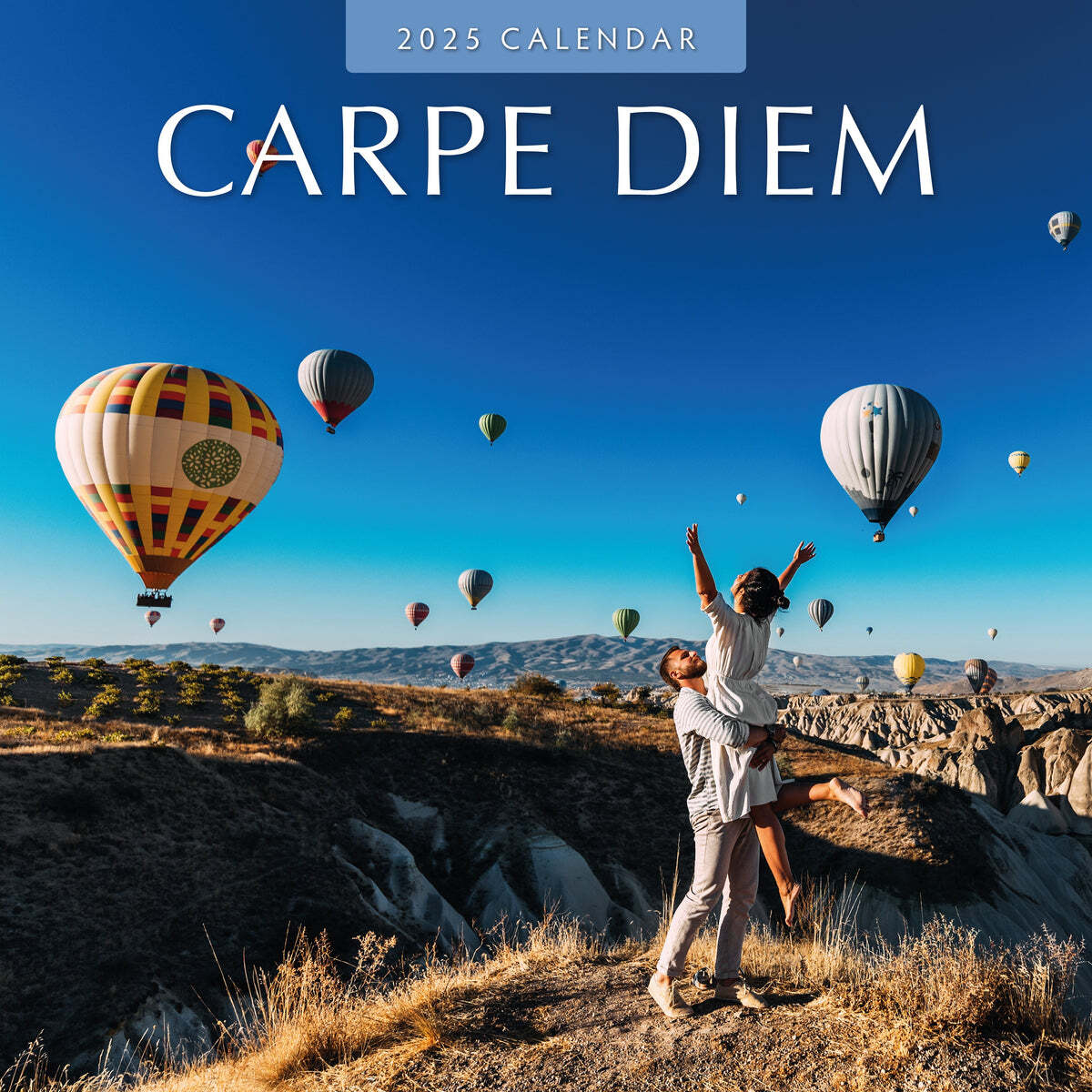 Carpe Diem - 2025 Calendar - Brand New - 426005 | Ebay intended for Carpe Diem 2025 Calendar Printable